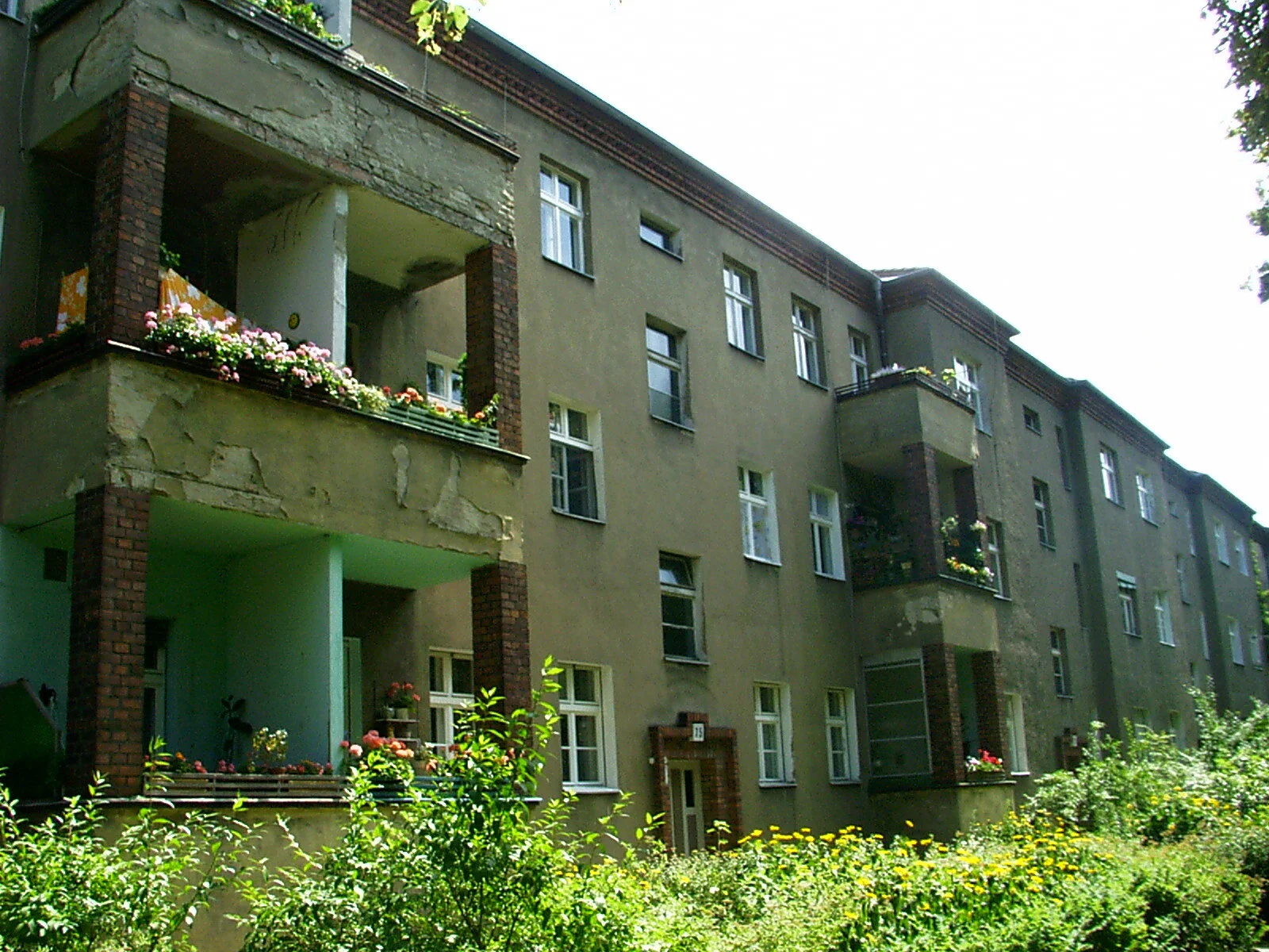 IMAG0040.JPG