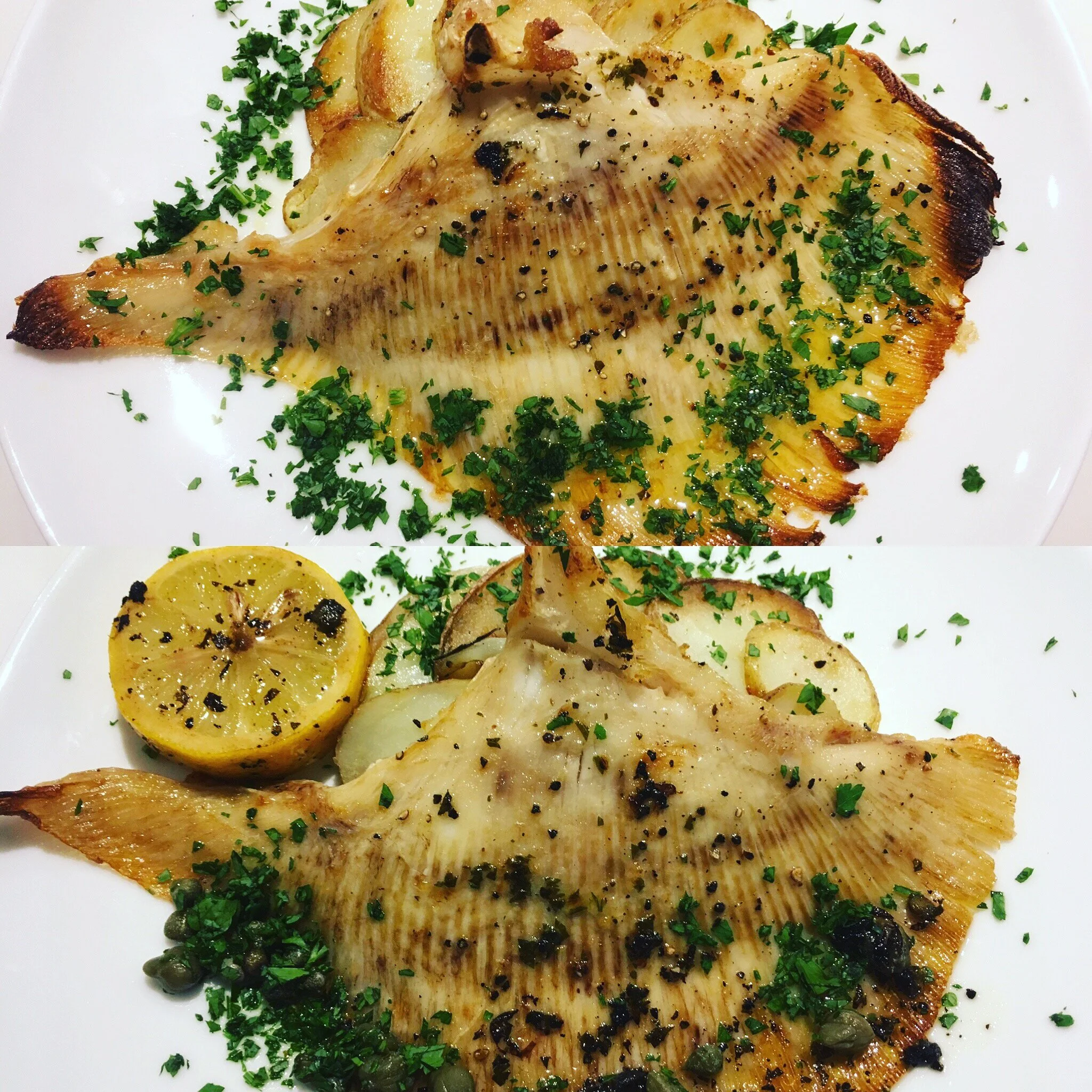 Season Fish