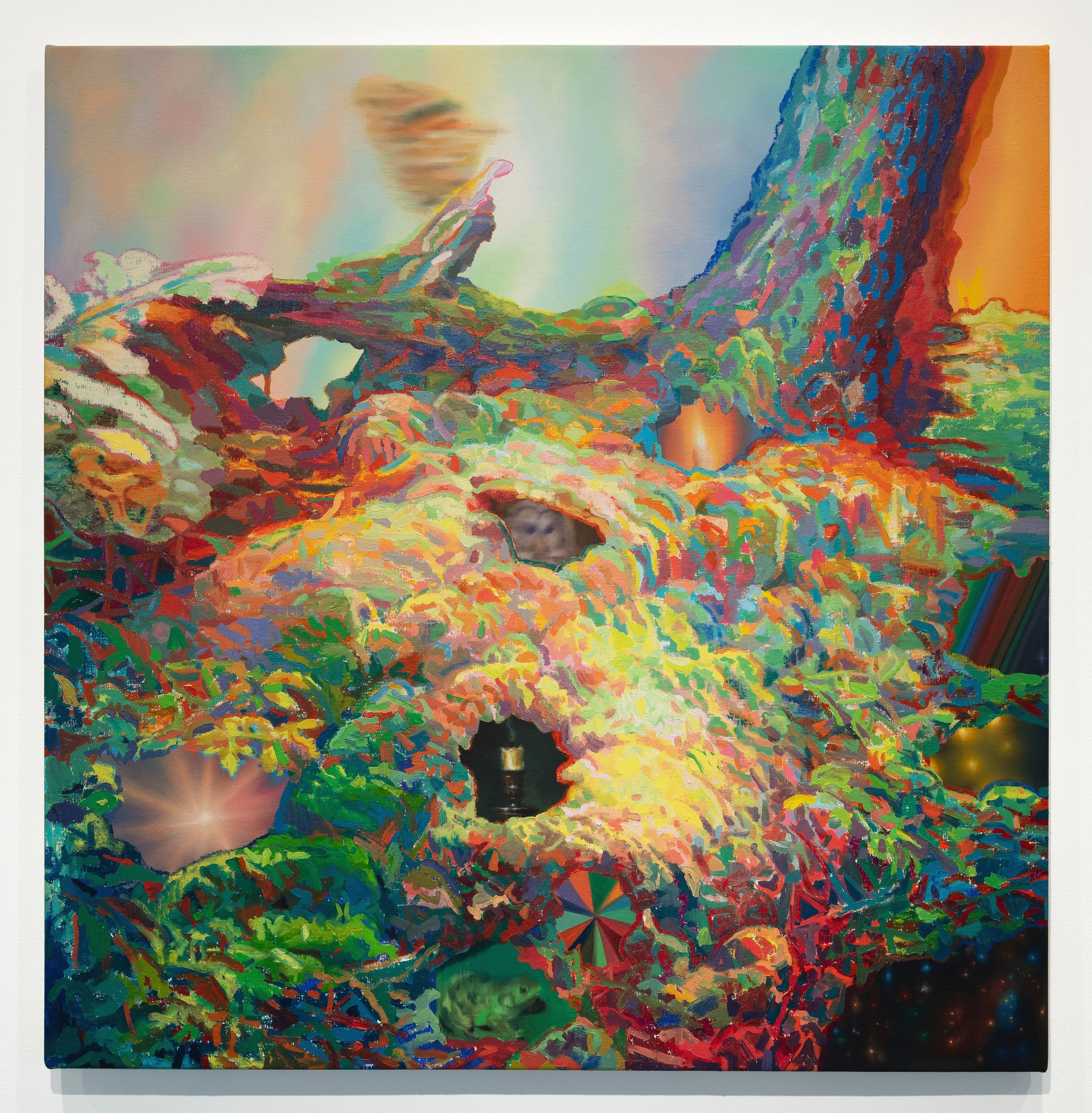 Moss Wonderland Reclamation