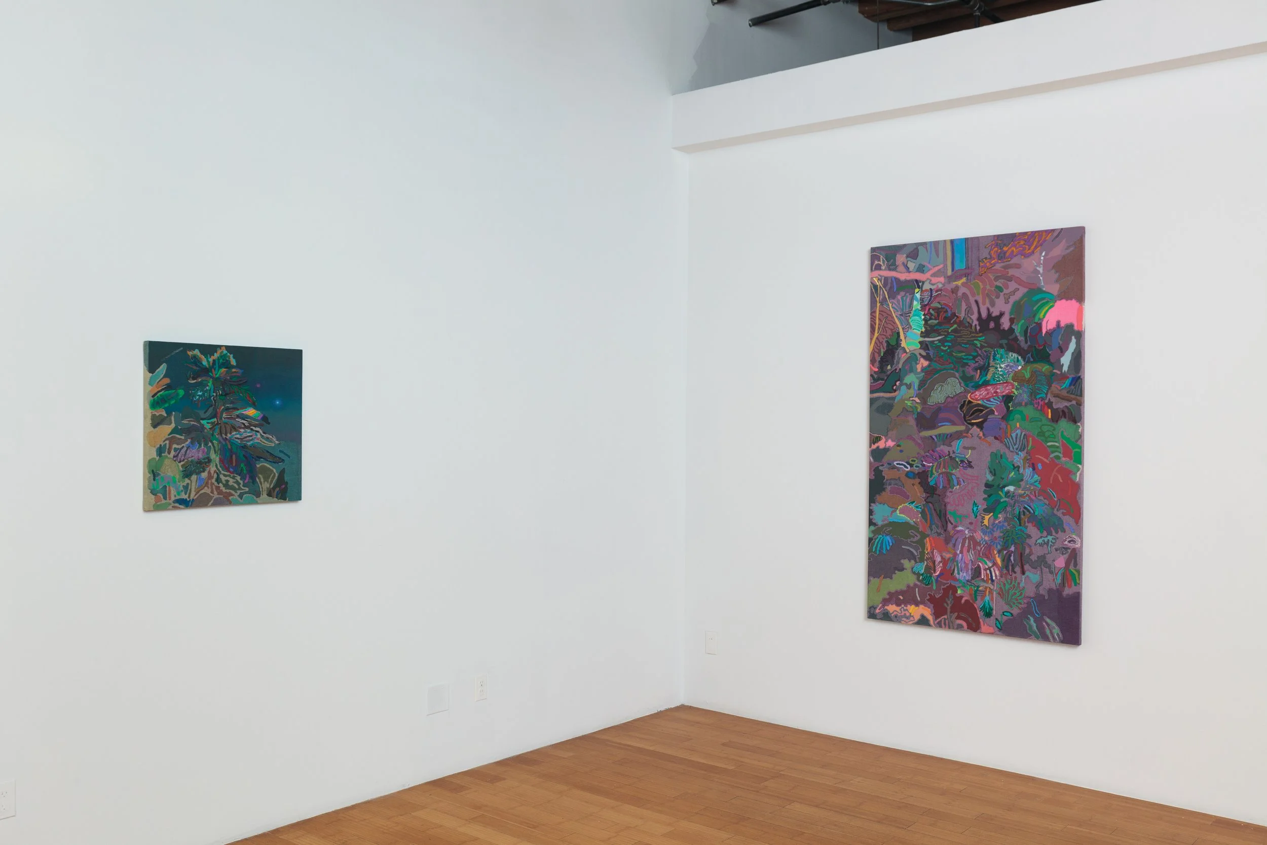 Leon Benn: Fields of Vision @ David B. Smith Gallery