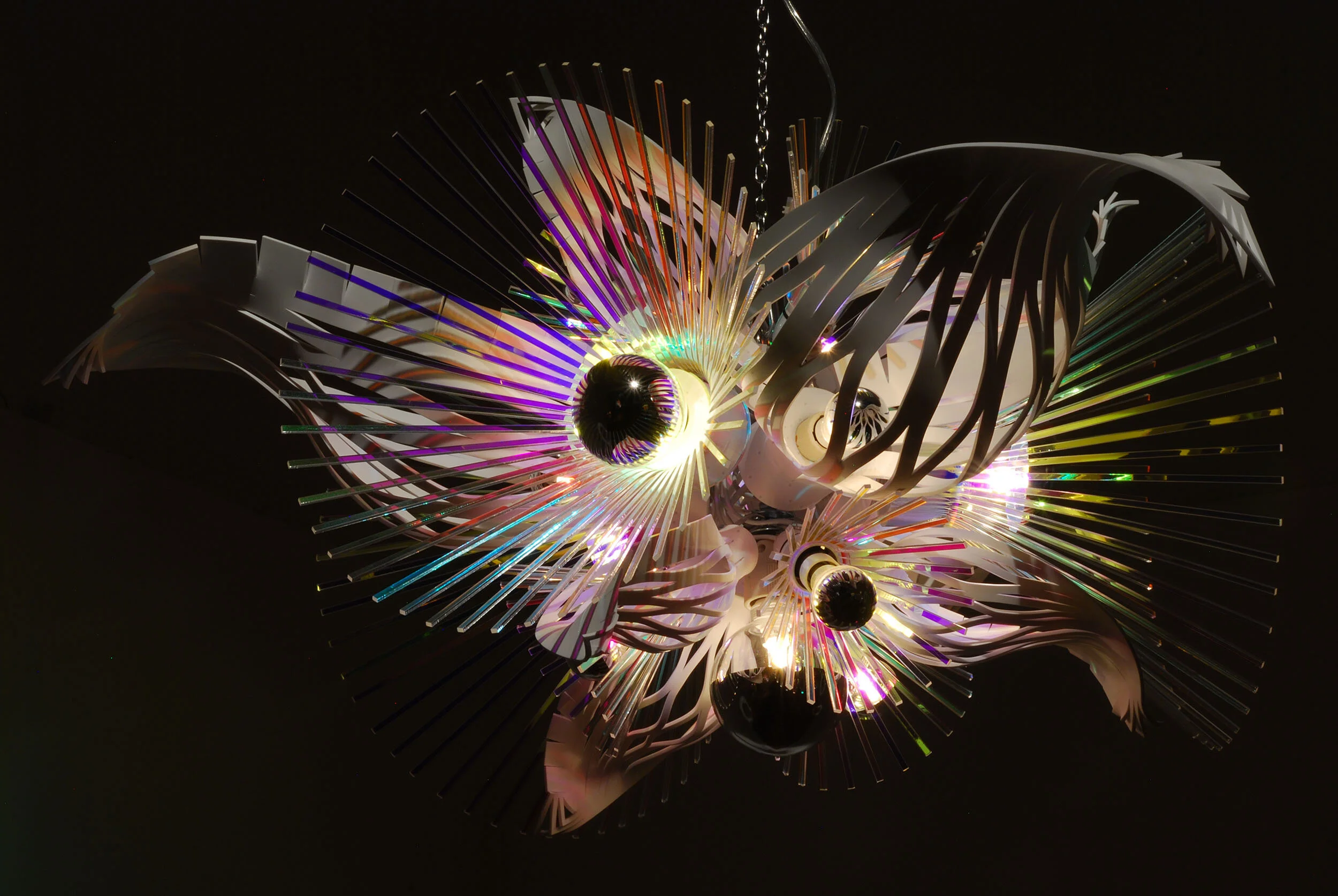 dynamic interactive colorful pop bloom flower art light sculptures installation touring exhibitions