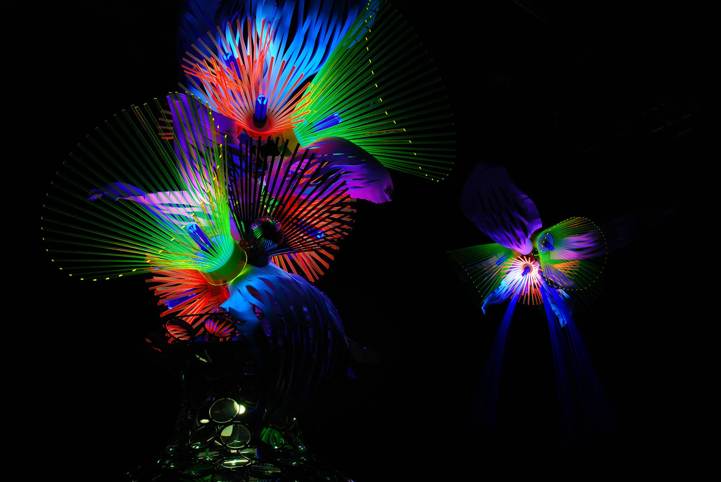 dynamic interactive magnifying glass sculpture fluorescent UV light art installation touring exhibitions