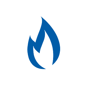 CHMcG_ICON_PMS2935sml.png