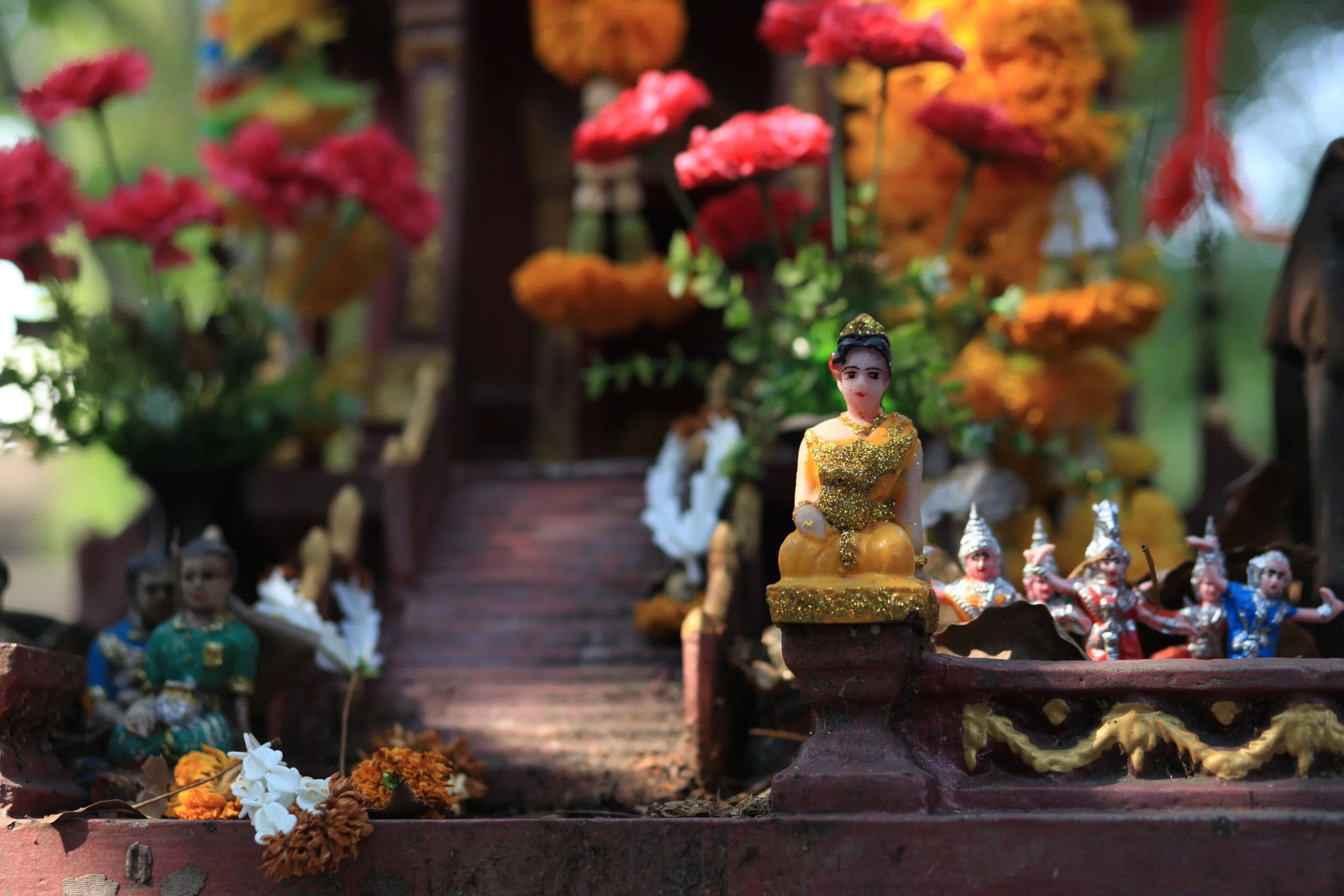 ESheehan_Thailand_12