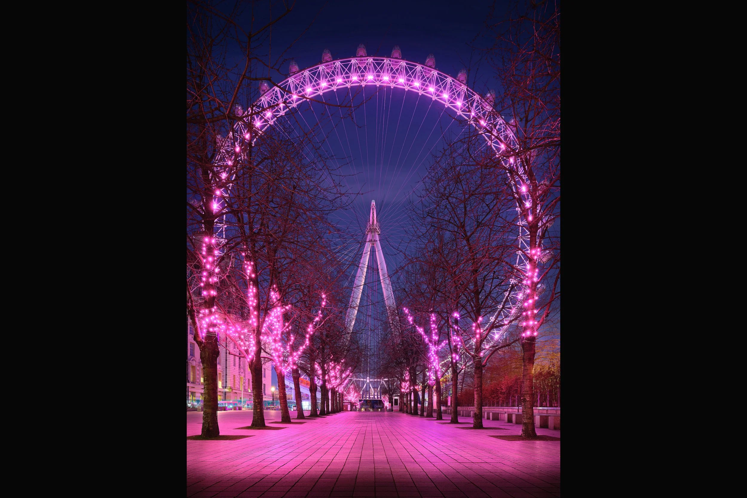 The London Eye 3