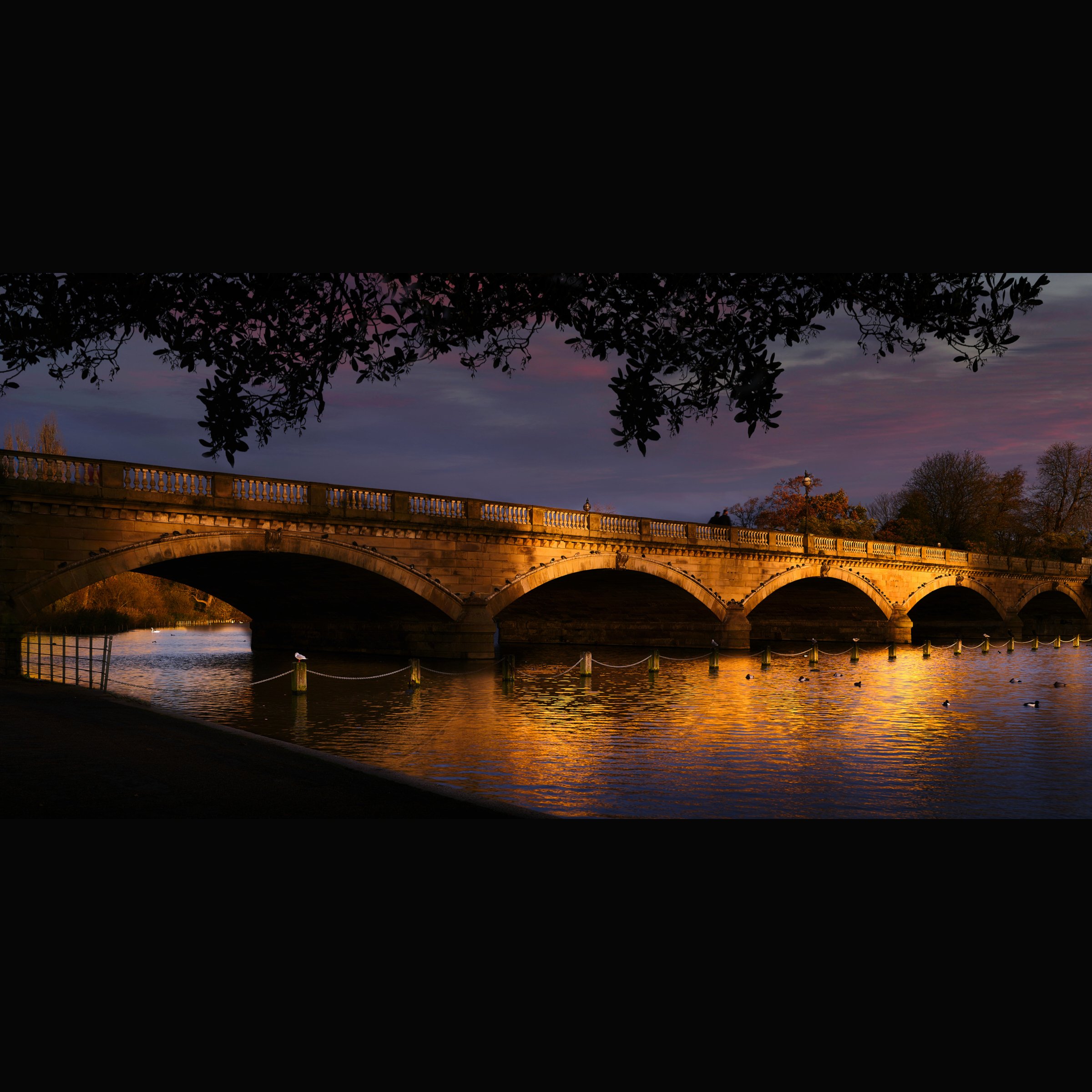 Hyde Park