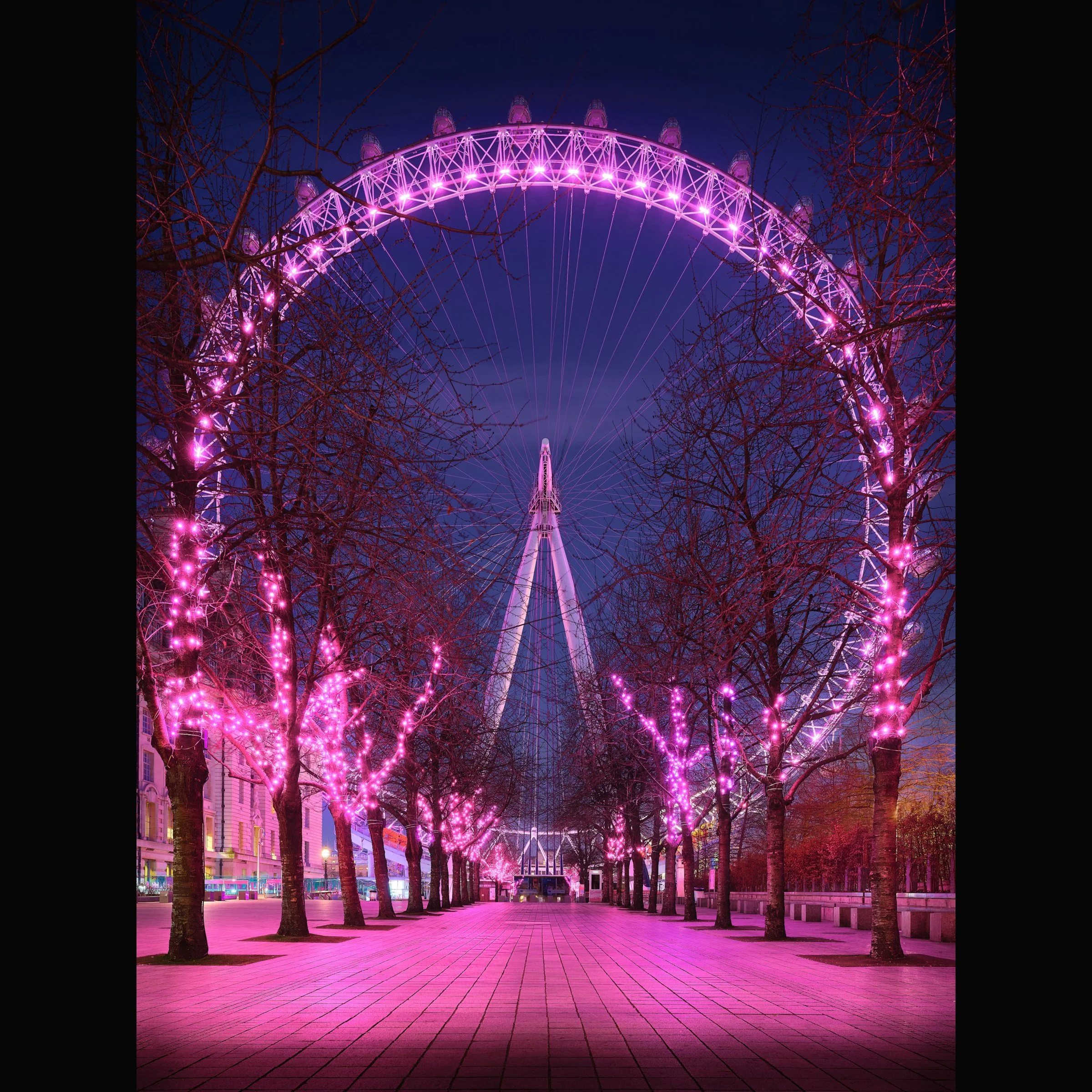 The London Eye 3