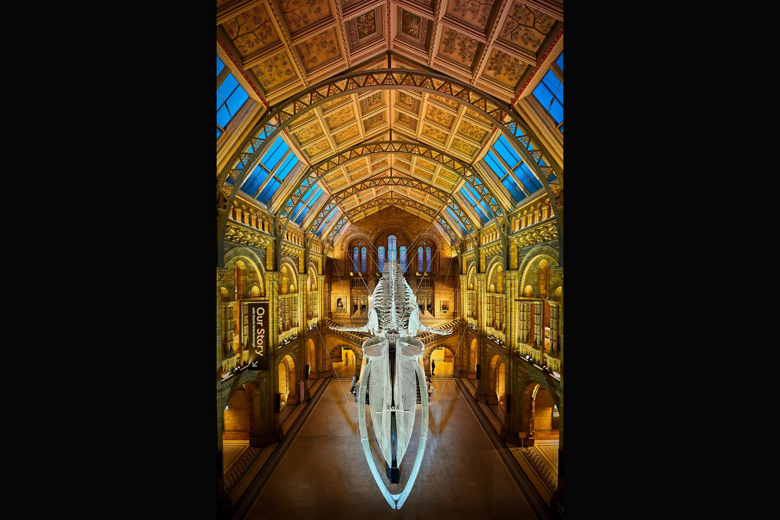 Natural History Museum portrait 