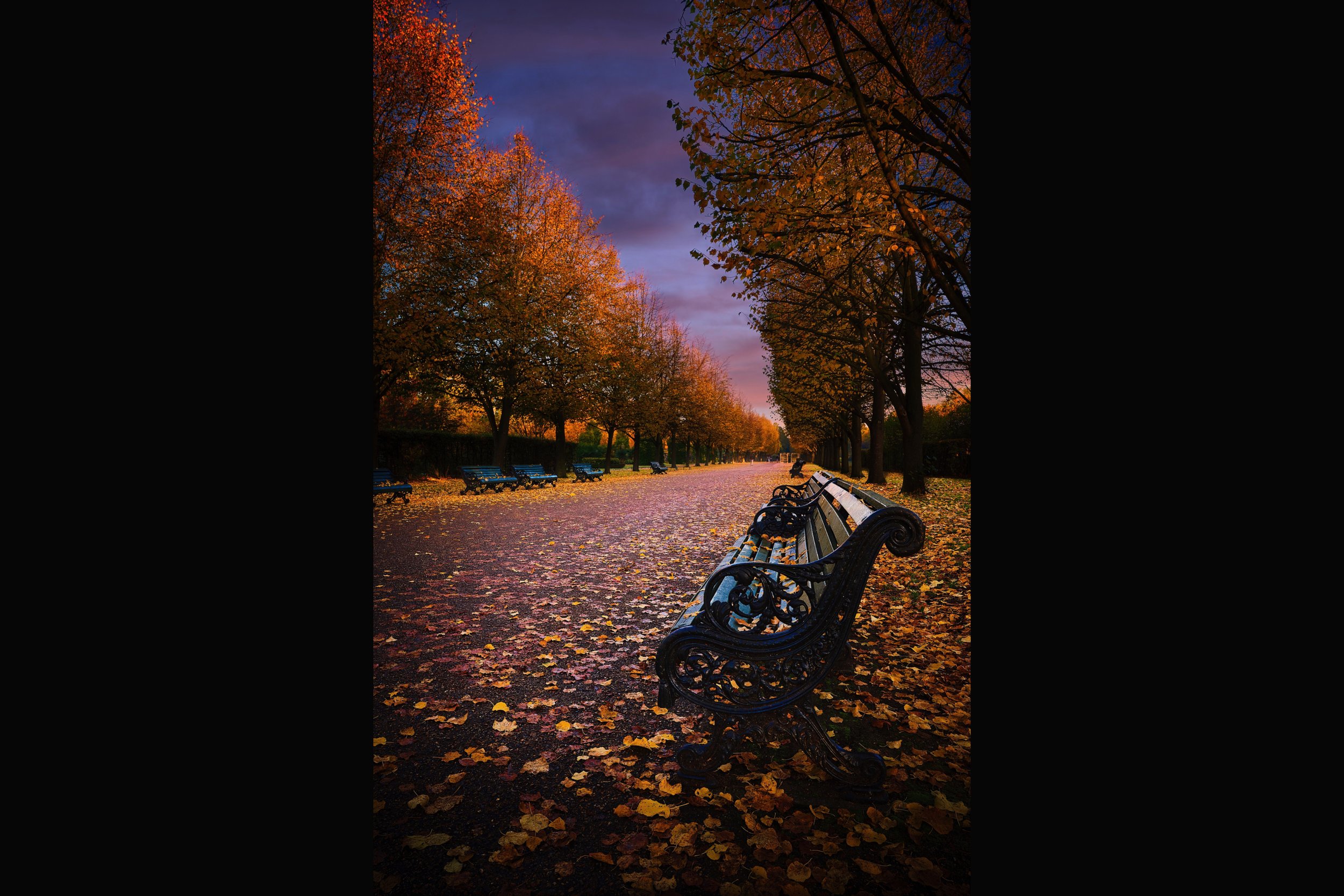 Regent's Park