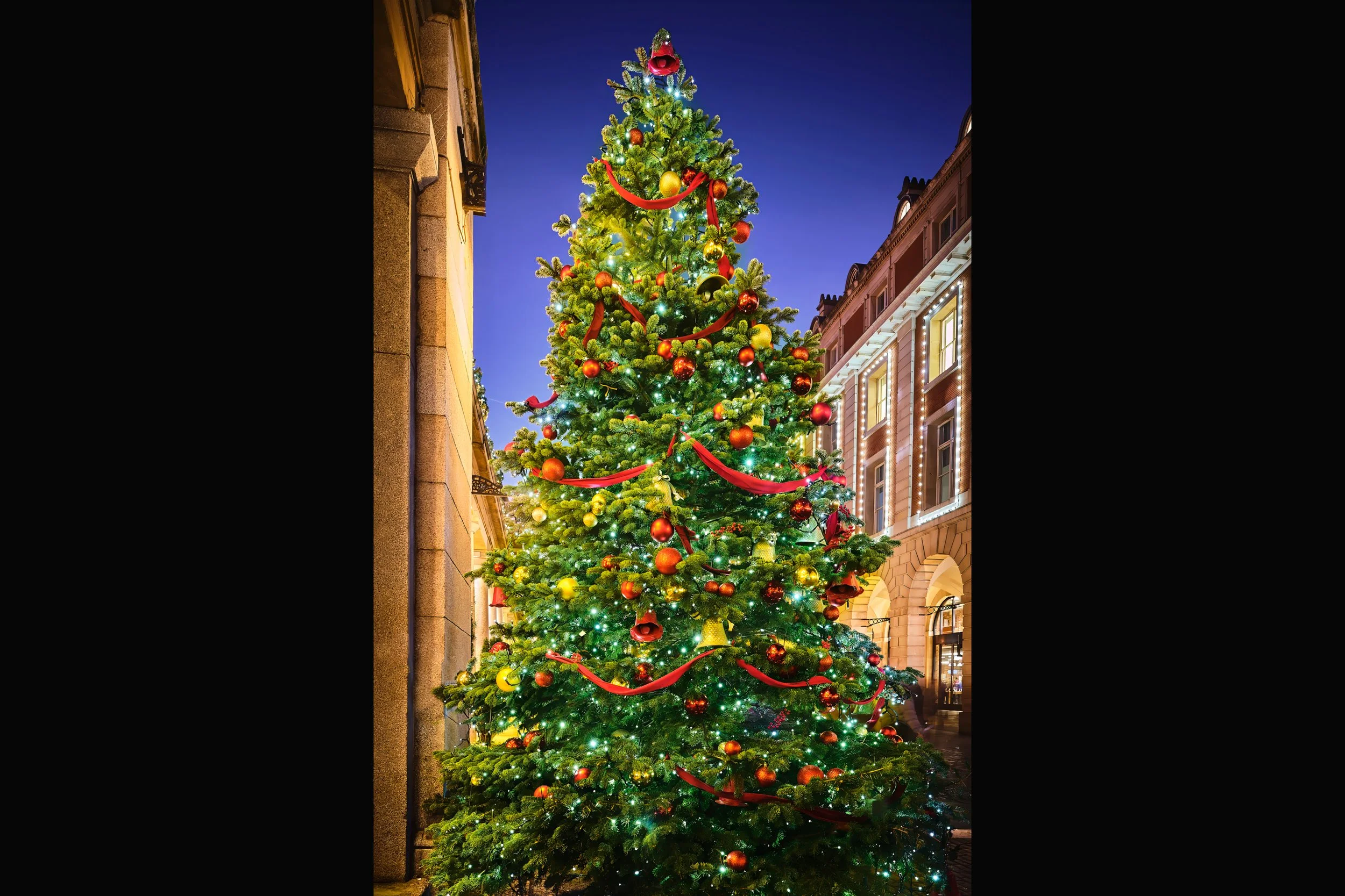 Christmas Tree in Covent Garden