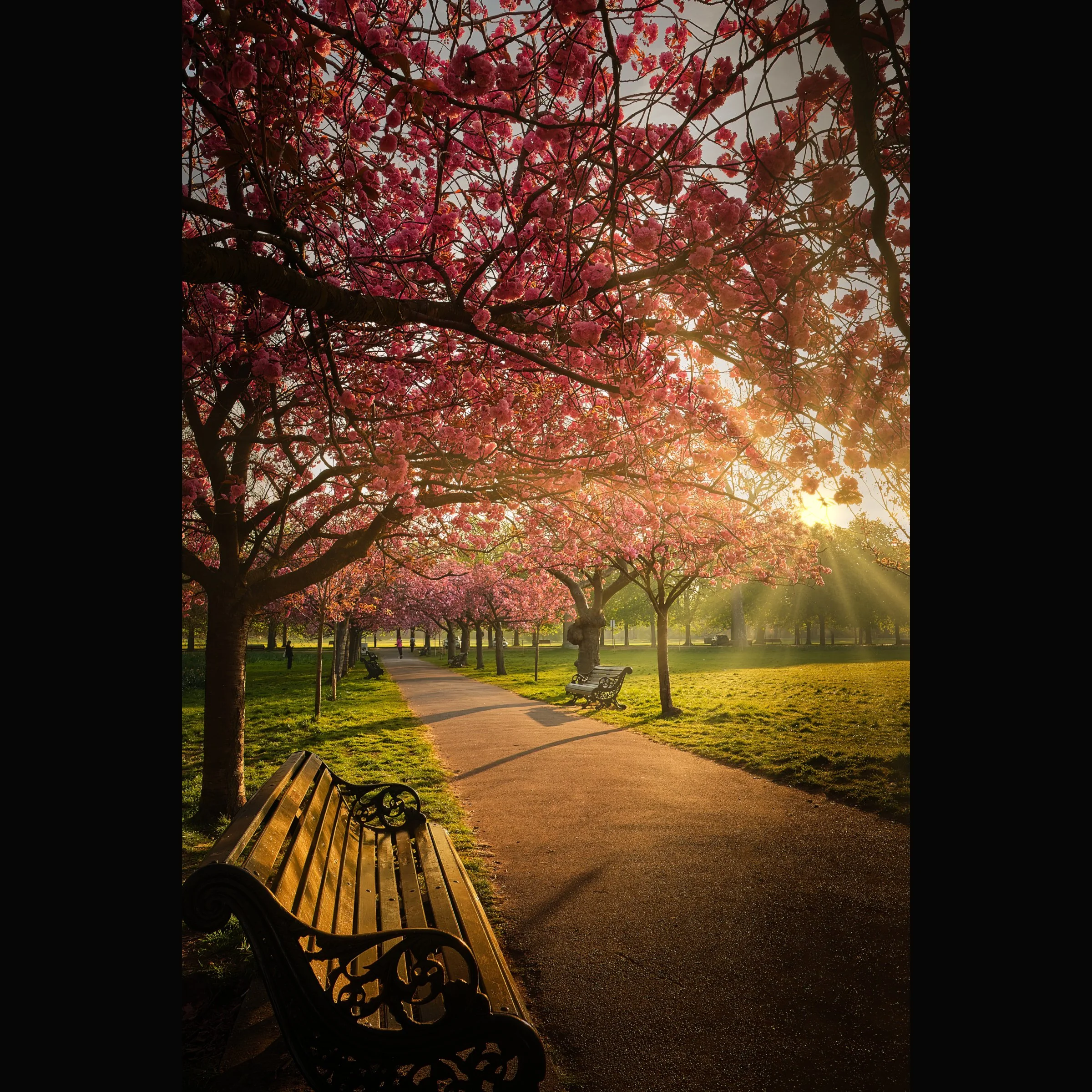 1232775 copy 4.jpg.p.jpg