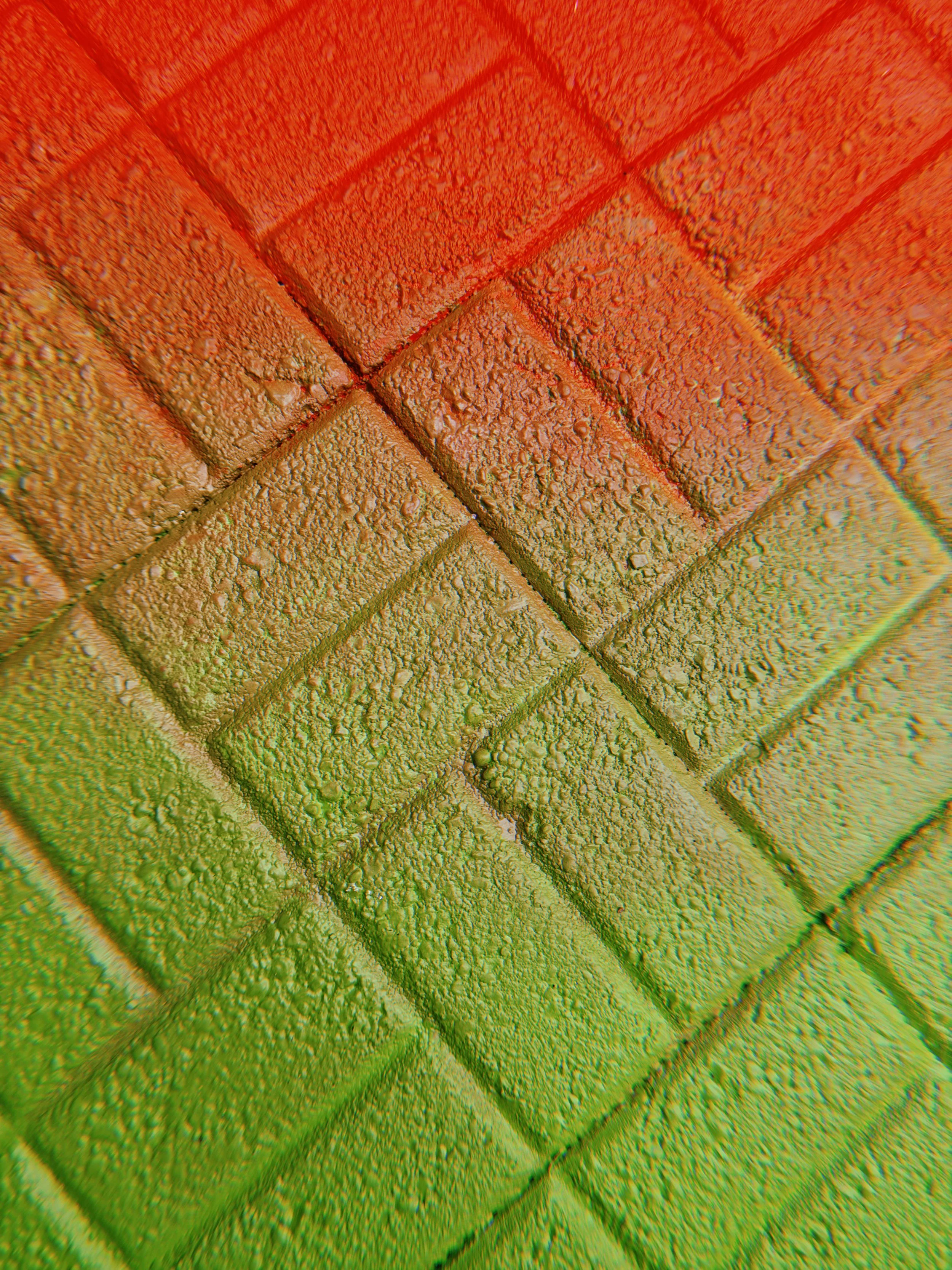 20260624_151110_478.JPG