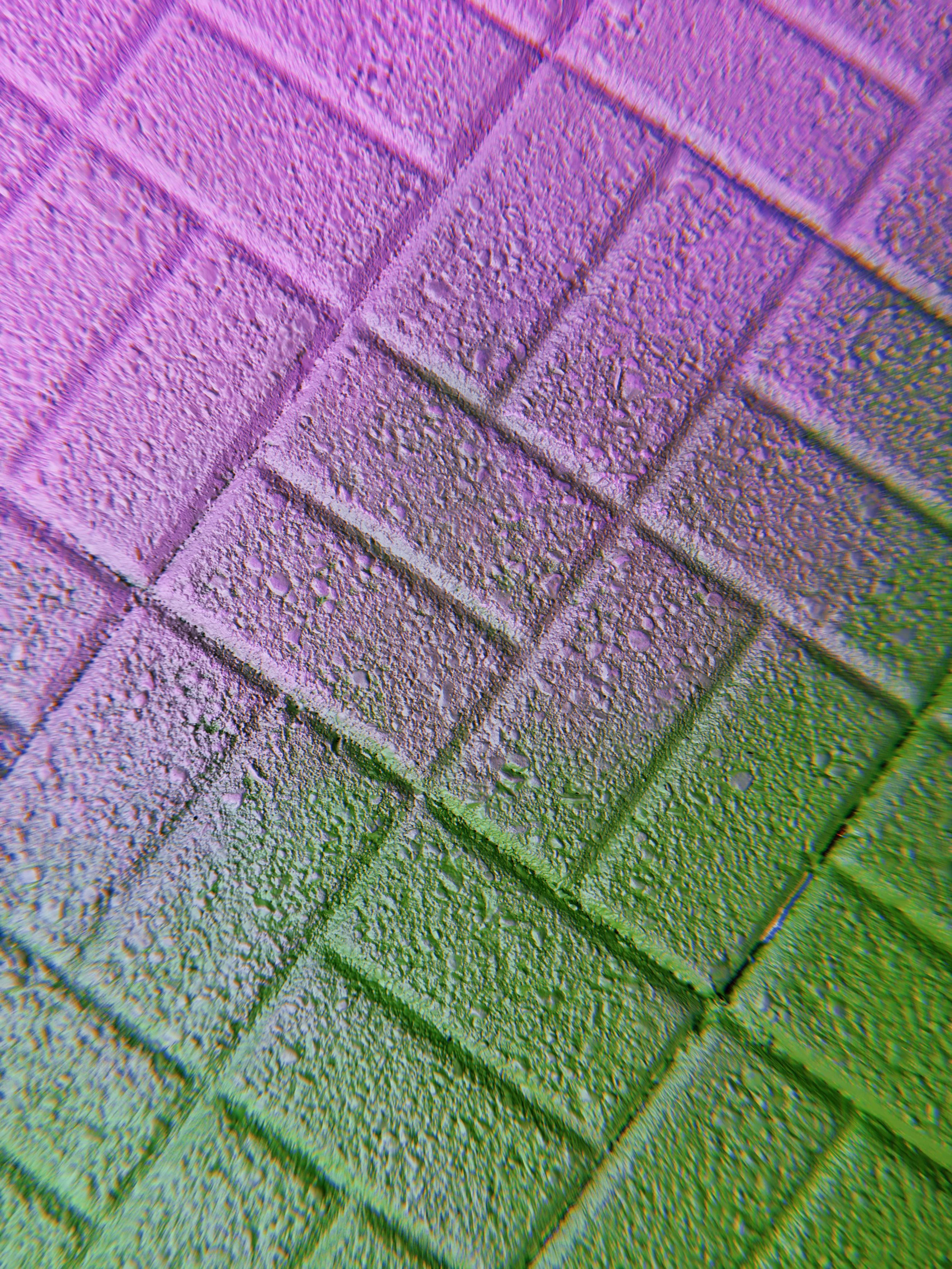 20260624_151106_629.JPG