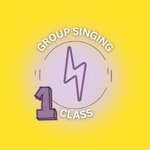 One Group Vocal Coaching Sessions - For Singers
