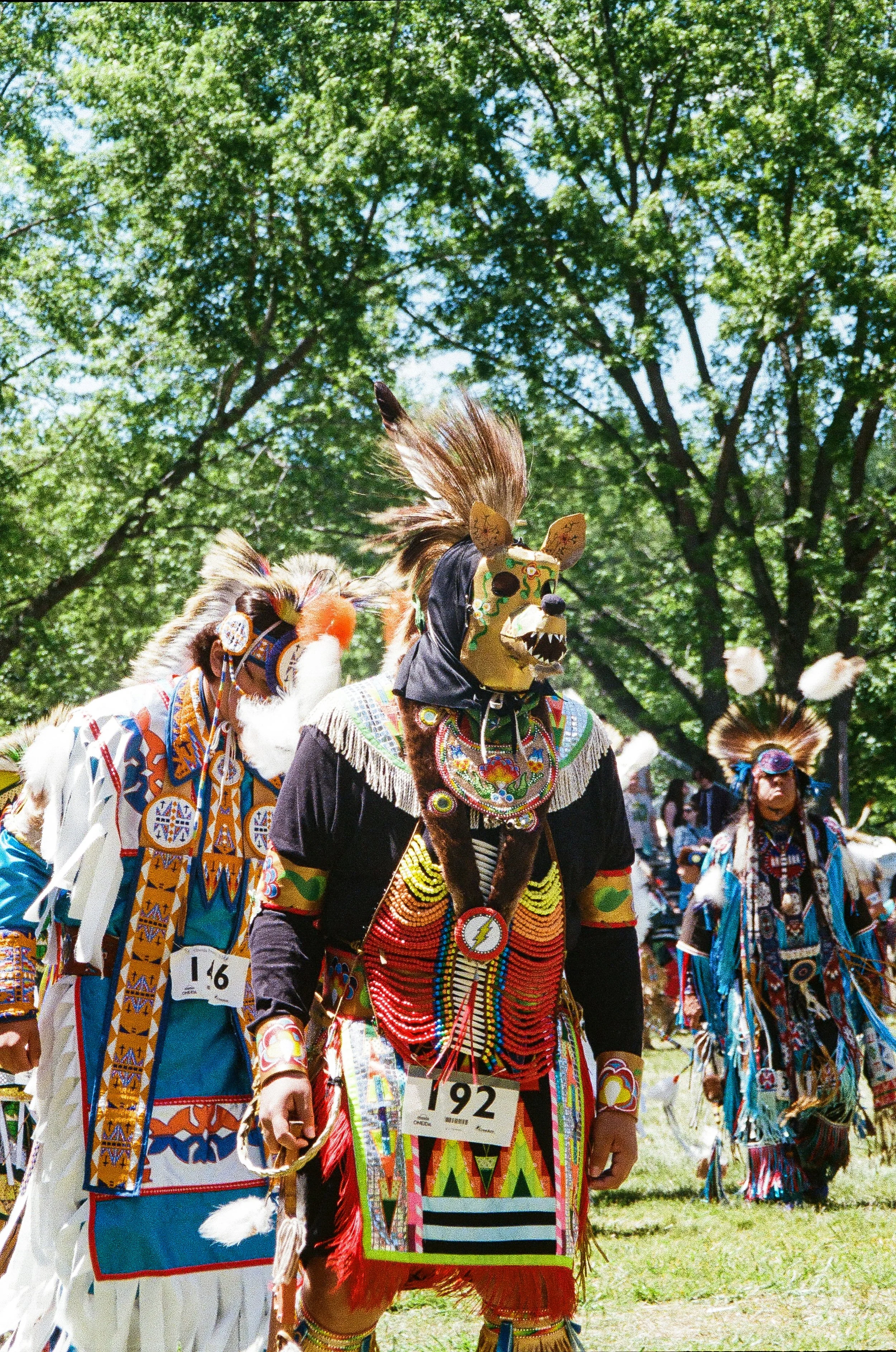 pow wow 6.jpg