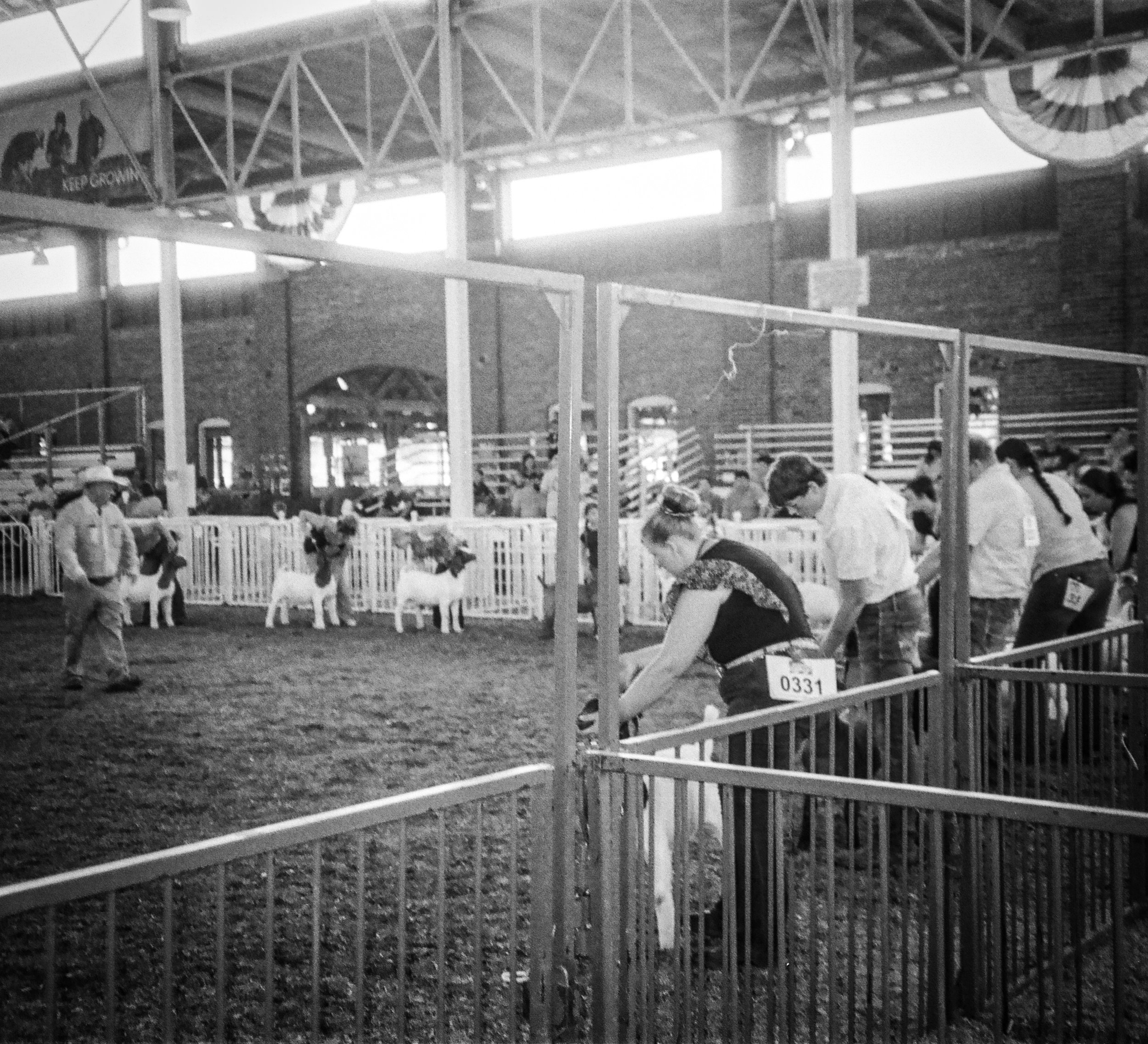 iowa 13 (1).jpg