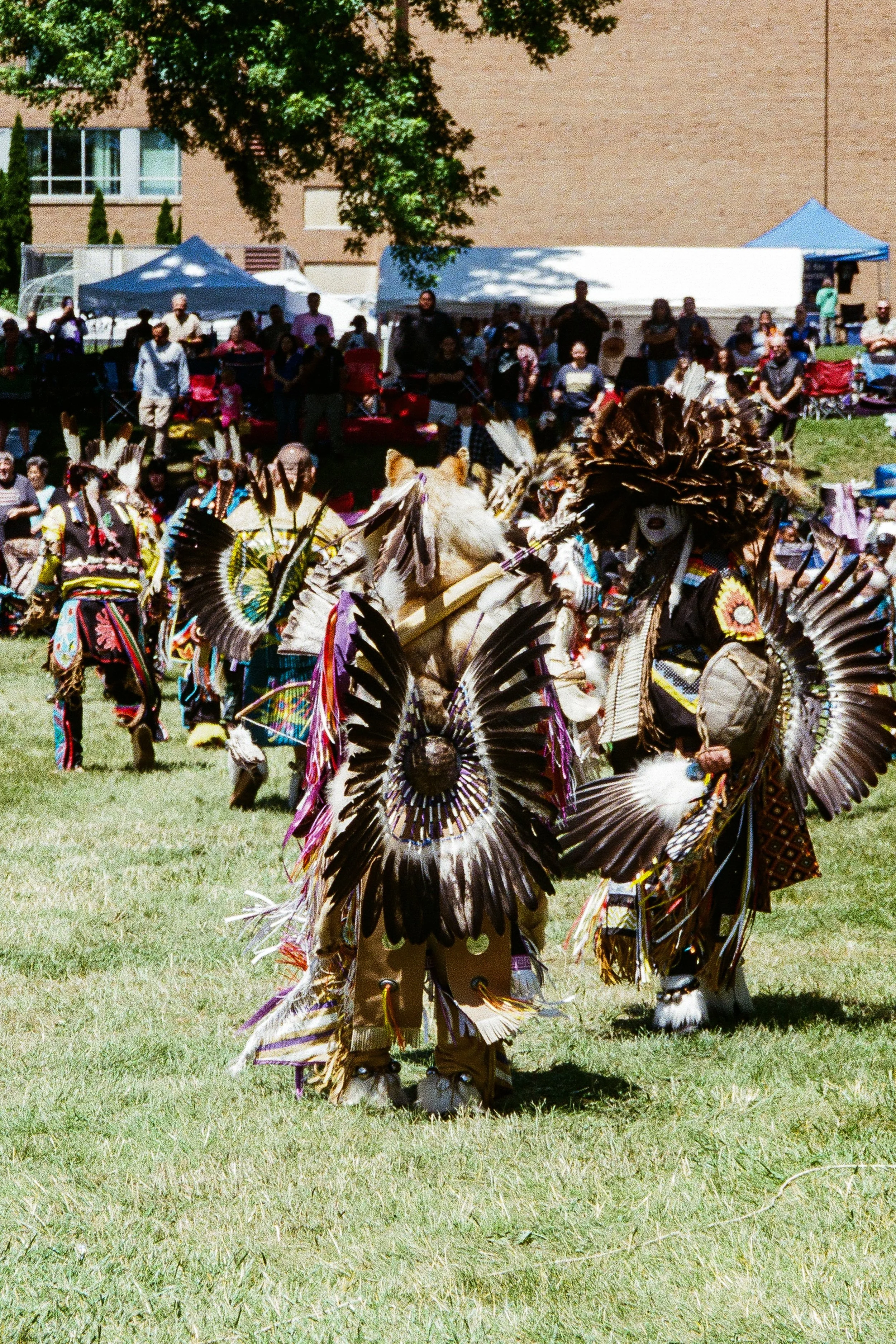 pow wow 11.jpg