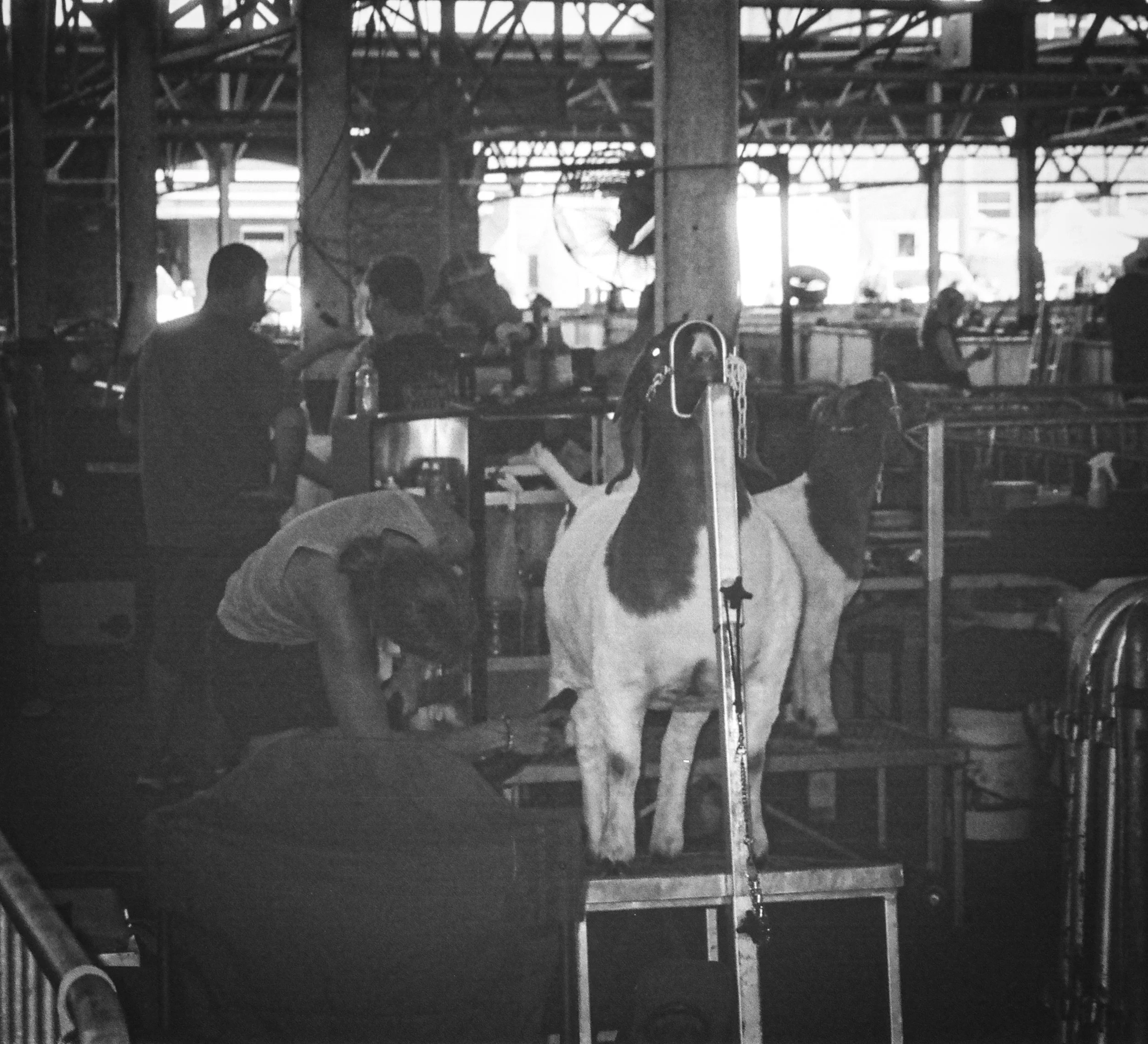 iowa 10 (1).jpg