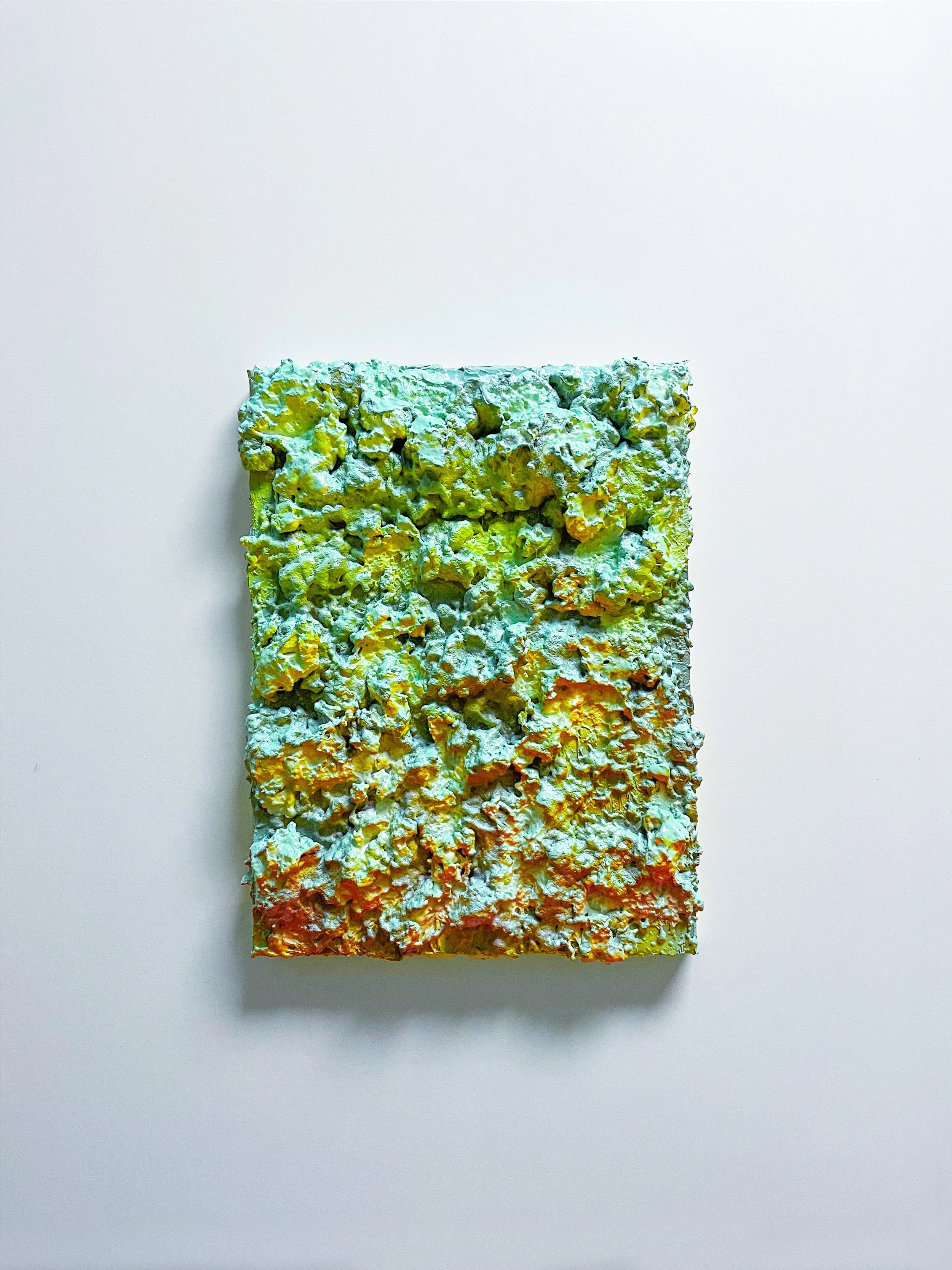 IMG_8553 copy.jpg