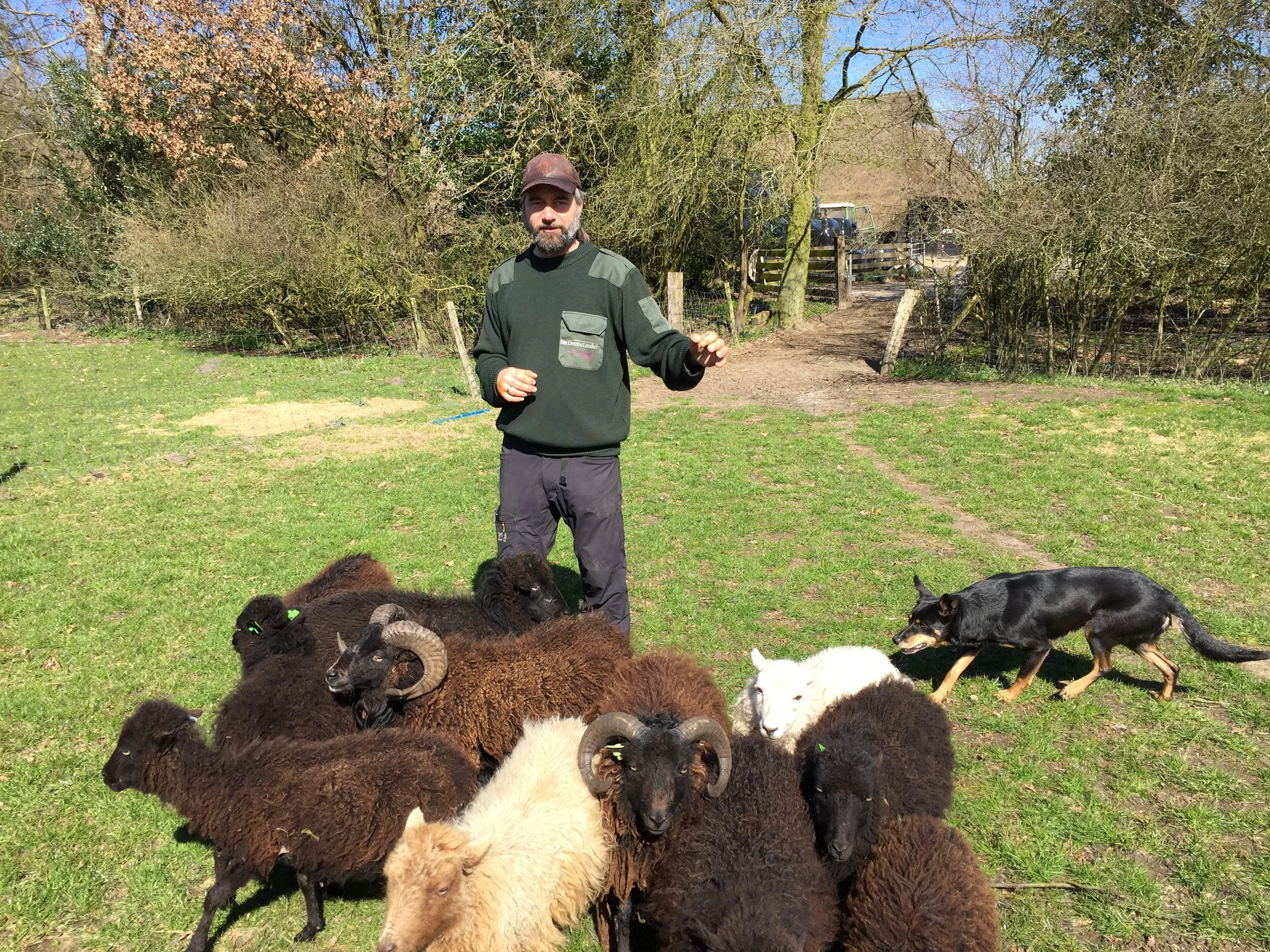 Organisatie instincten.