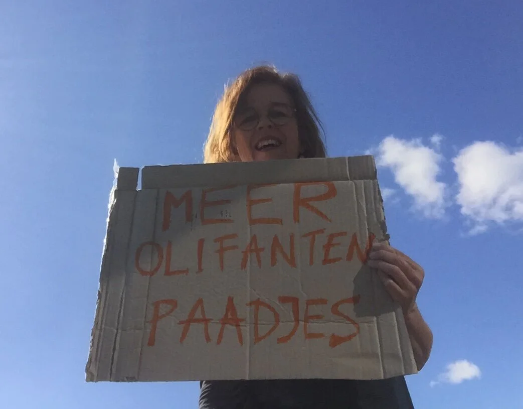 Meer Olifantenpaadjes