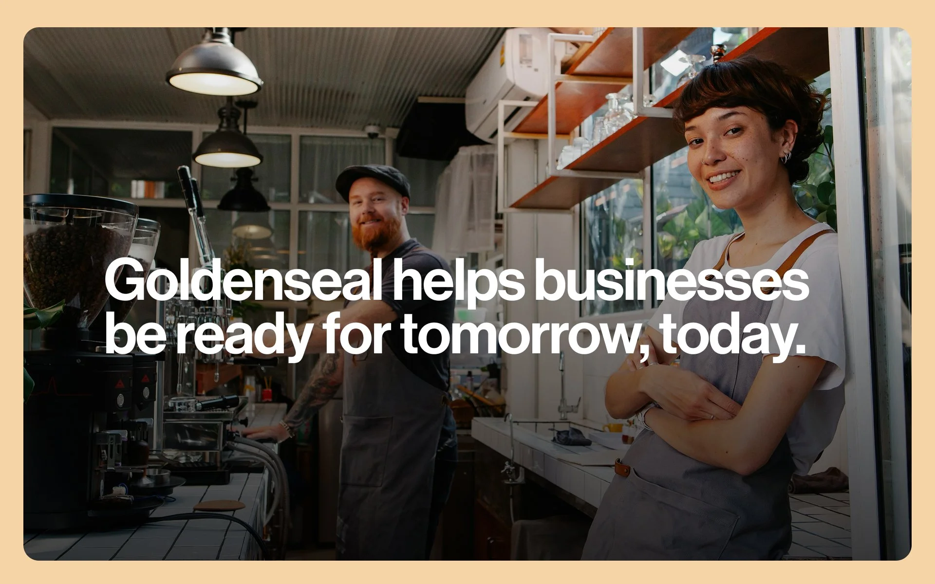 Goldenseal messaging and brand positioning system developed by Mindsy Design