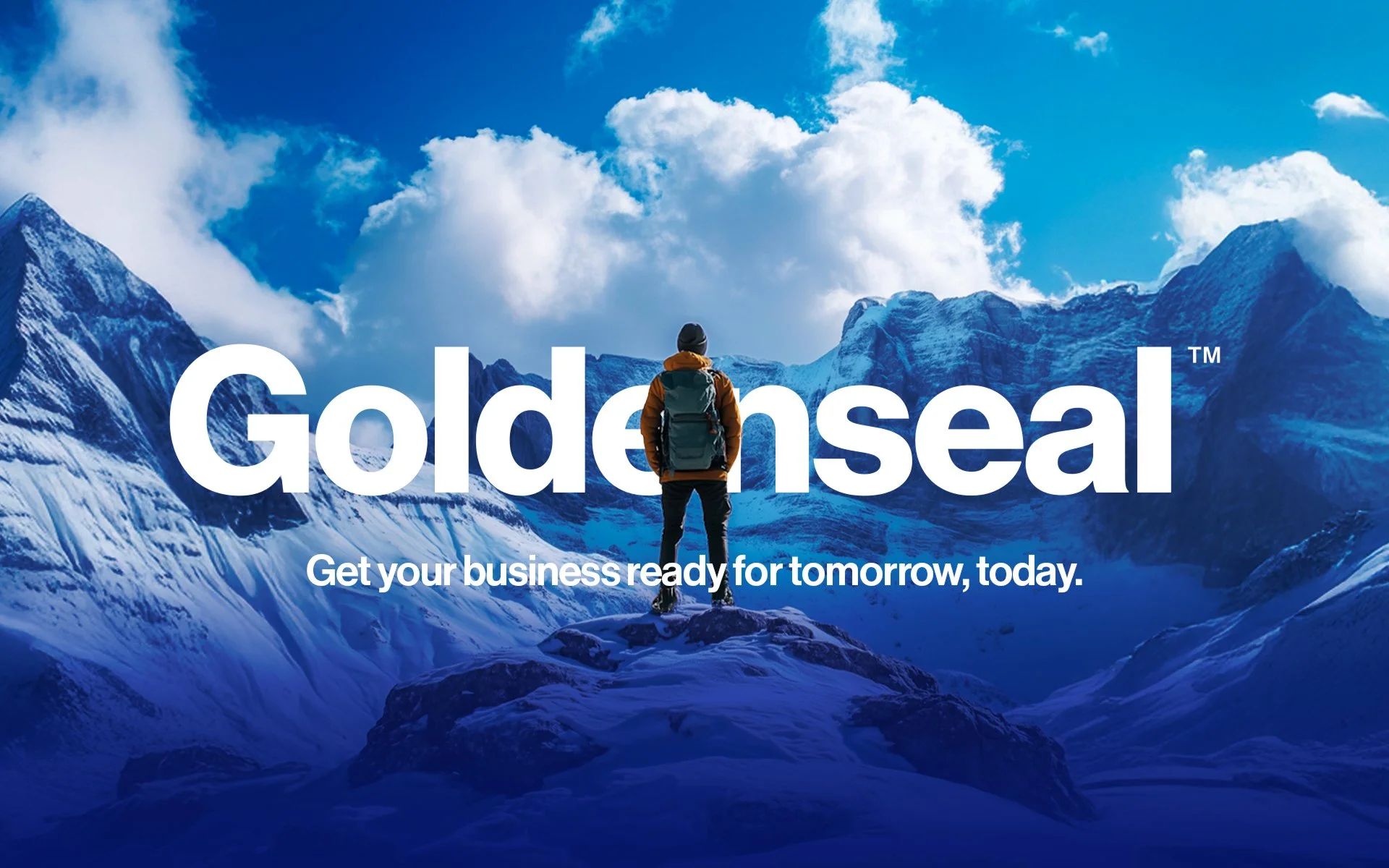 Goldenseal case study mockup showing brand strategy, messaging, and visual identity by Mindsy Design