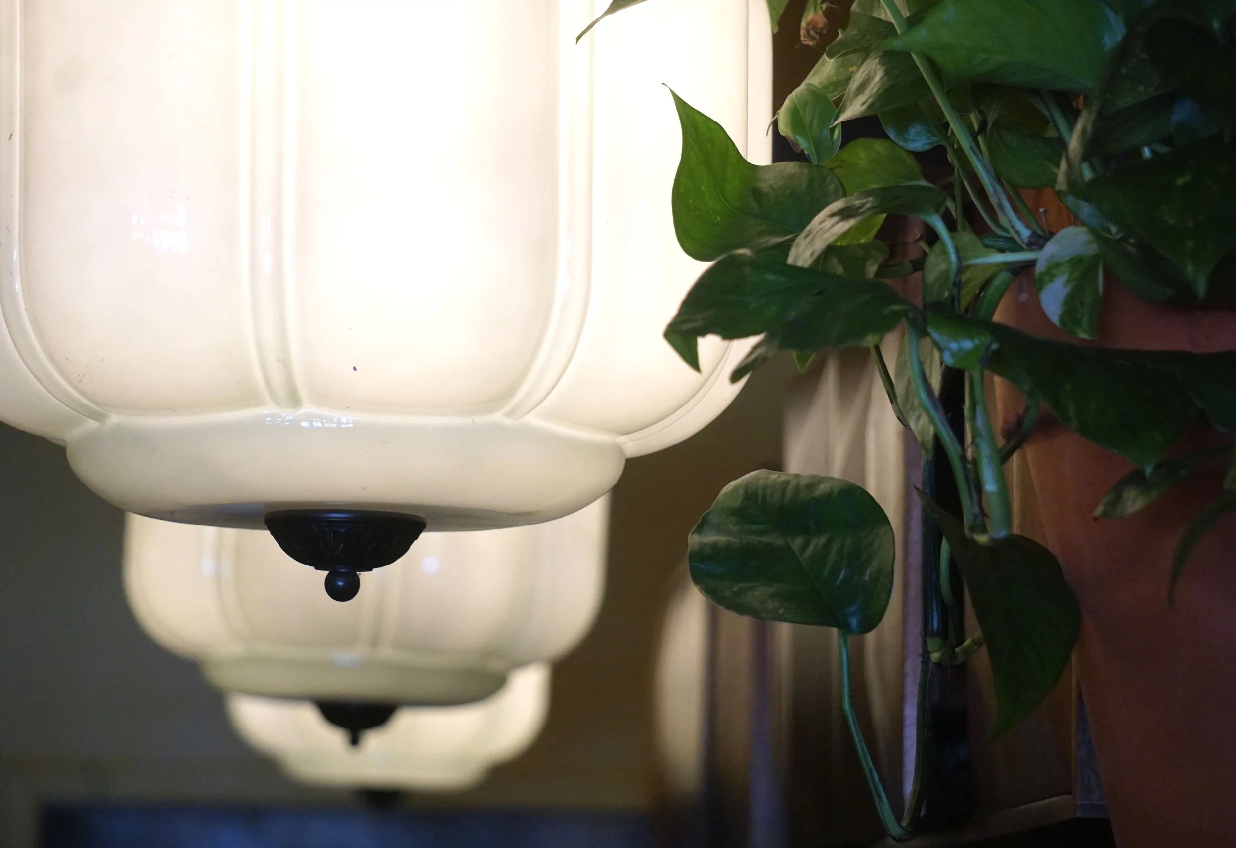  A detailed shot of the white glass light fixtures above tables at James Beard Award nominated East Nashville restaurant, Lockeland Table. 
