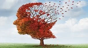 Season Changes with Post-Concussive Syndrome