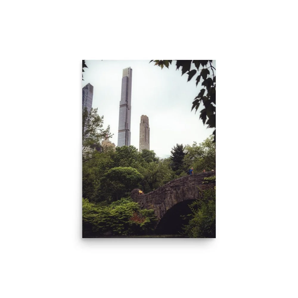 enhanced-matte-paper-poster-(in)-12x16-front-64bed02397851.jpg