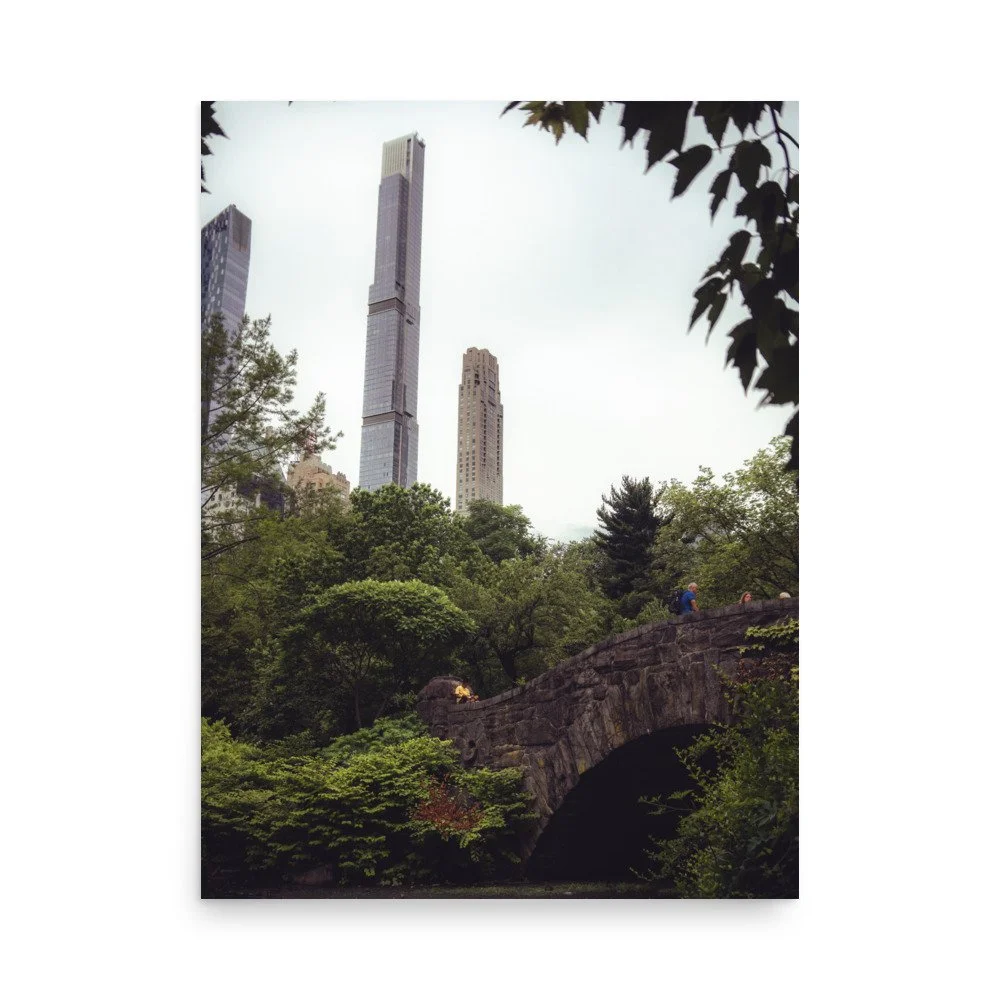 enhanced-matte-paper-poster-(in)-18x24-front-64bed023979e7.jpg