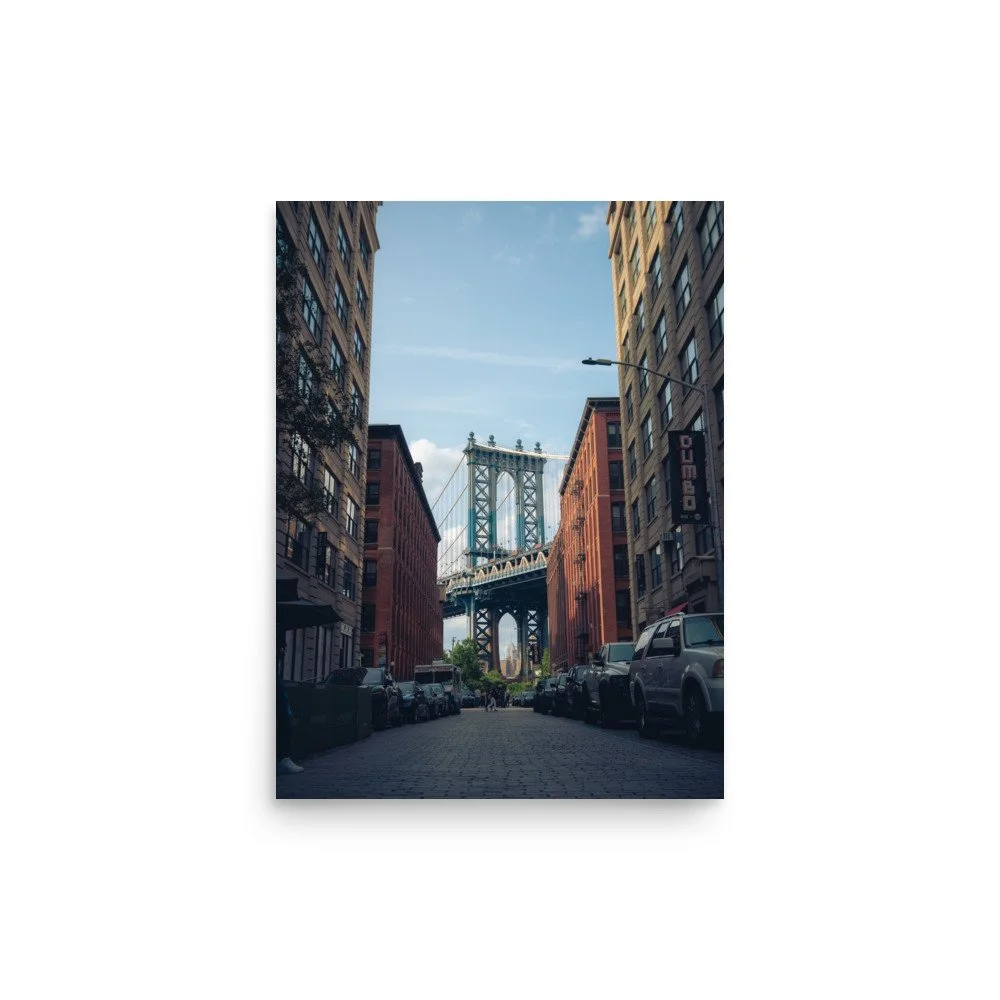 enhanced-matte-paper-poster-(in)-12x16-front-64bedacb939ae.jpg