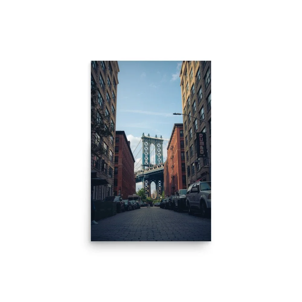 enhanced-matte-paper-poster-(in)-12x18-front-64bedacb93a1c.jpg