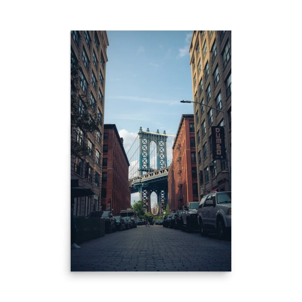 enhanced-matte-paper-poster-(in)-24x36-front-64bedacb93b77.jpg