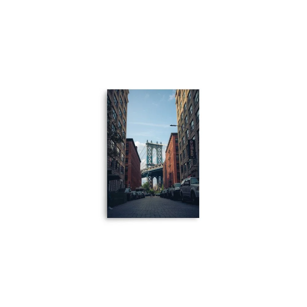 enhanced-matte-paper-poster-(in)-5x7-front-64bedacb93be7.jpg