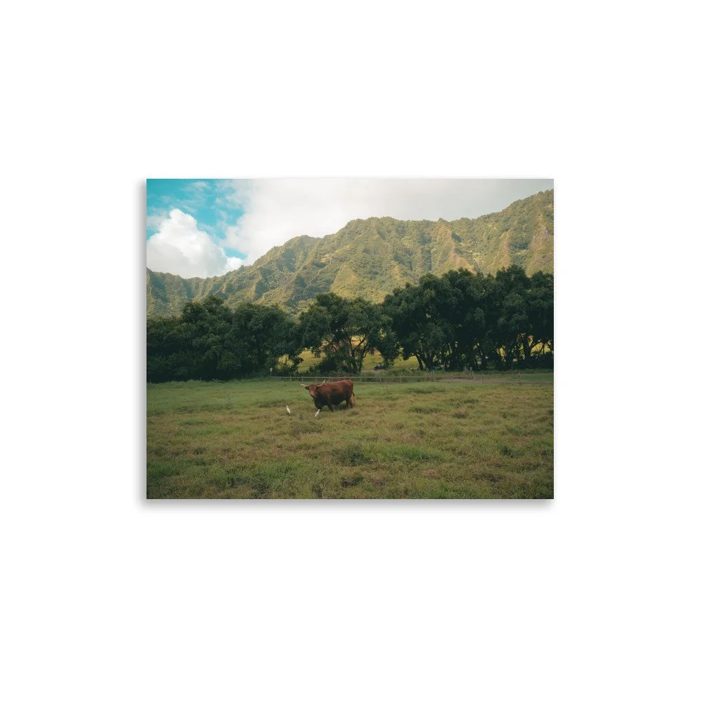 enhanced-matte-paper-poster-(in)-11x14-front-6518ea6b1e615.jpg