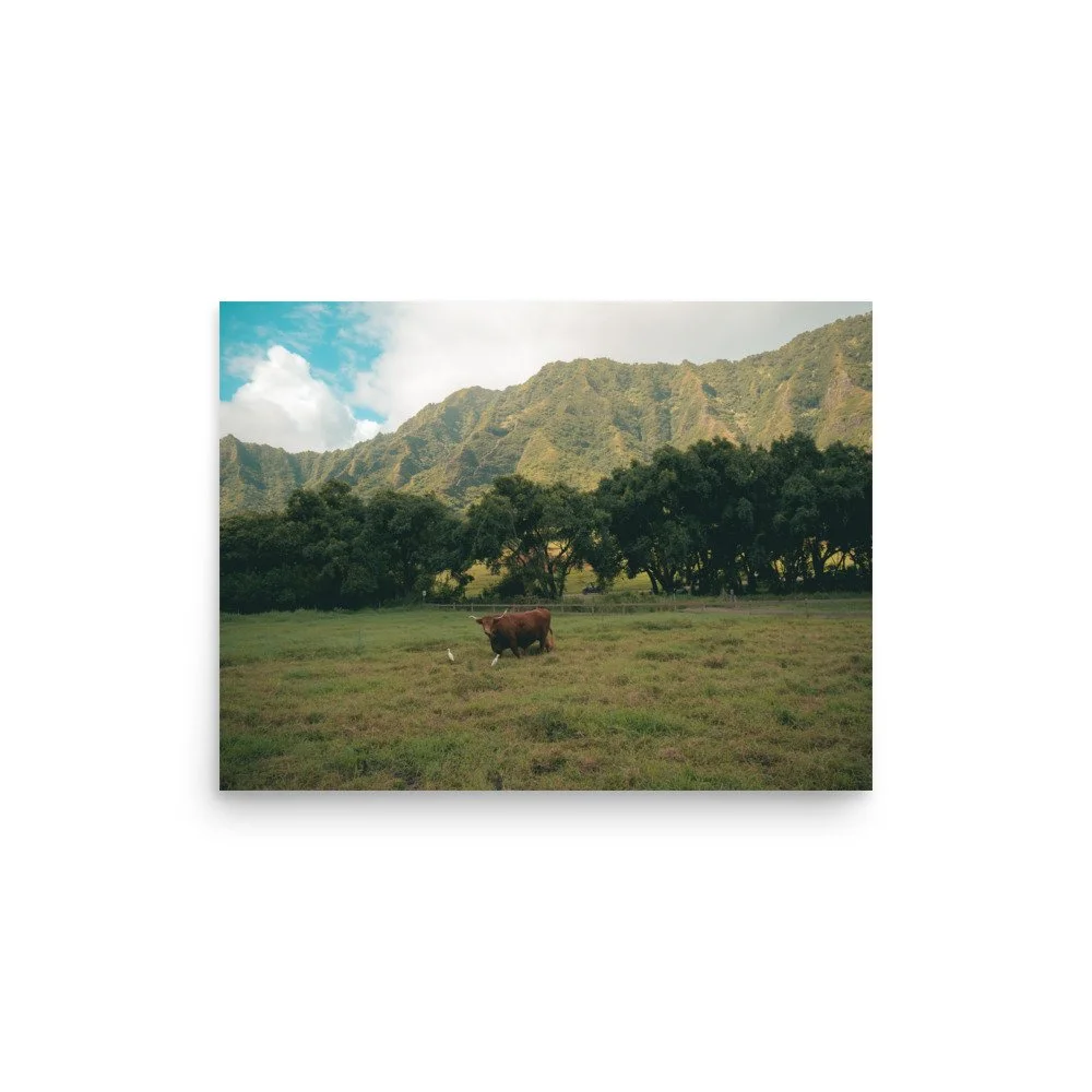 enhanced-matte-paper-poster-(in)-12x16-front-6518ea6b1e69c.jpg