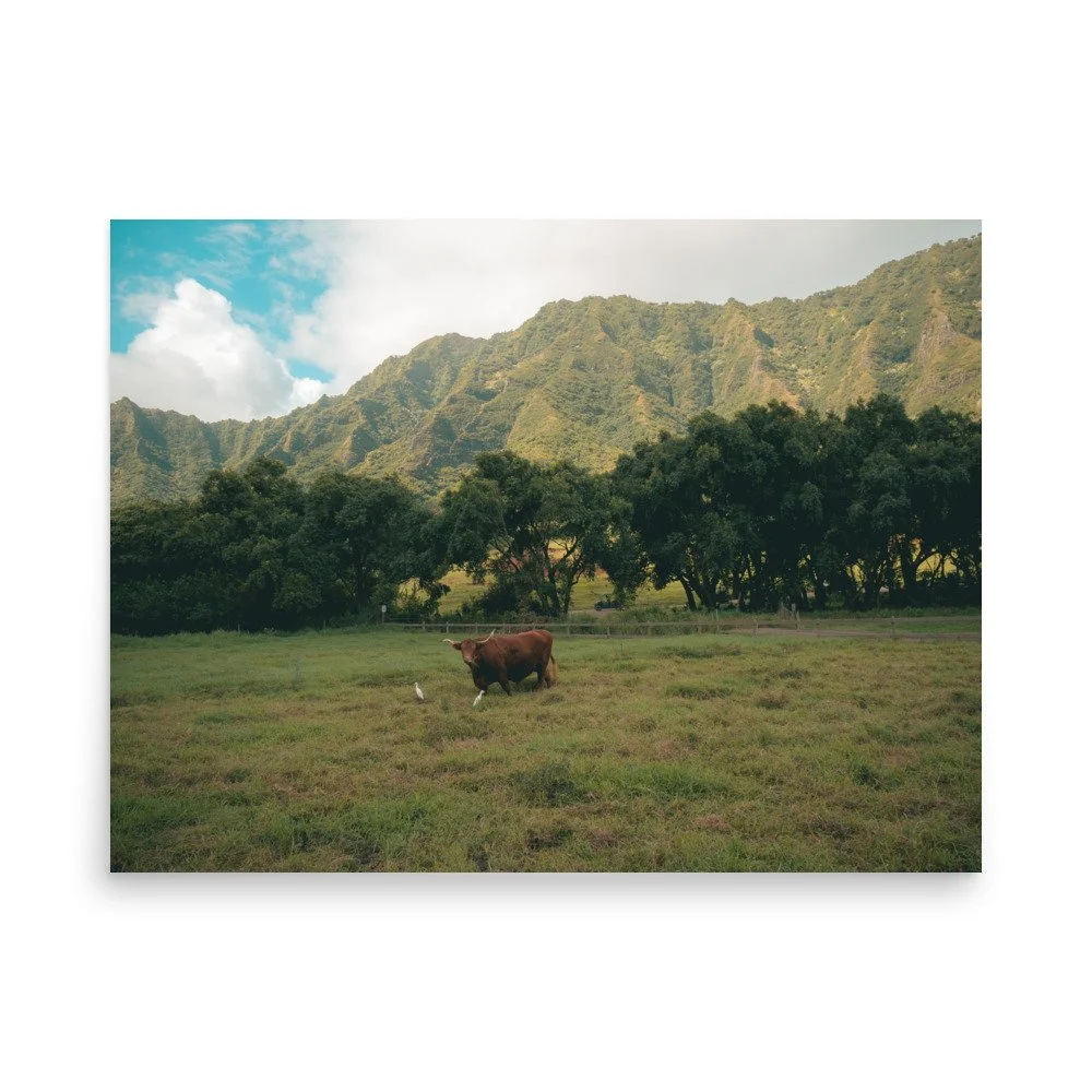 enhanced-matte-paper-poster-(in)-18x24-front-6518ea6b1e818.jpg