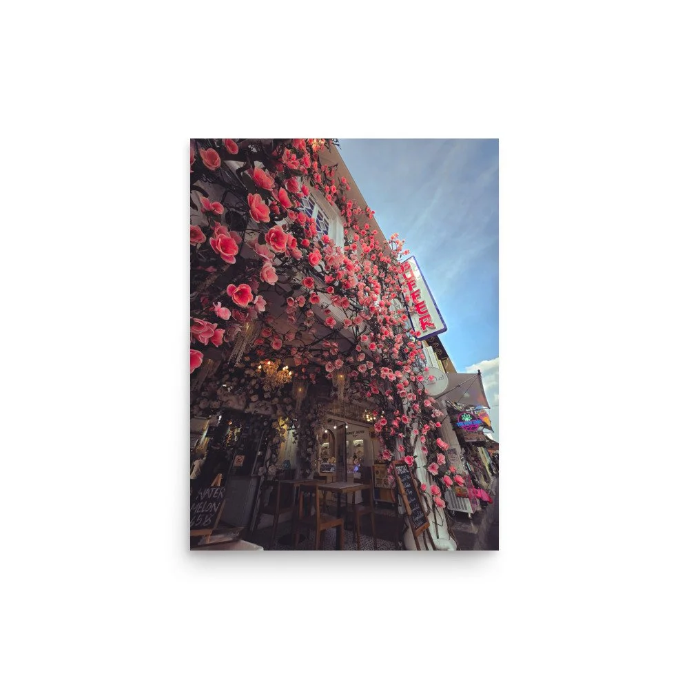 enhanced-matte-paper-poster-(in)-12x16-front-669742196e00e.jpg