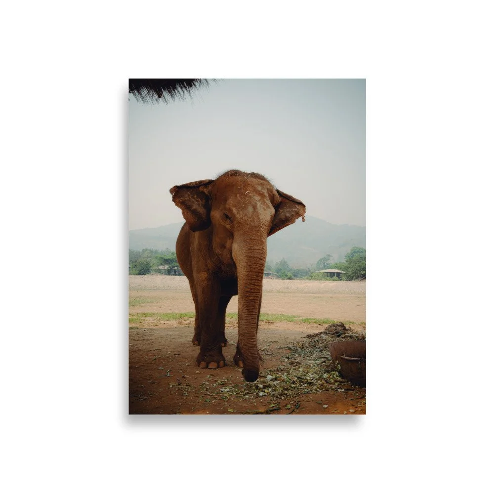 enhanced-matte-paper-poster-(in)-a1-(23.3x33.1)-front-66986070ec5cc.jpg