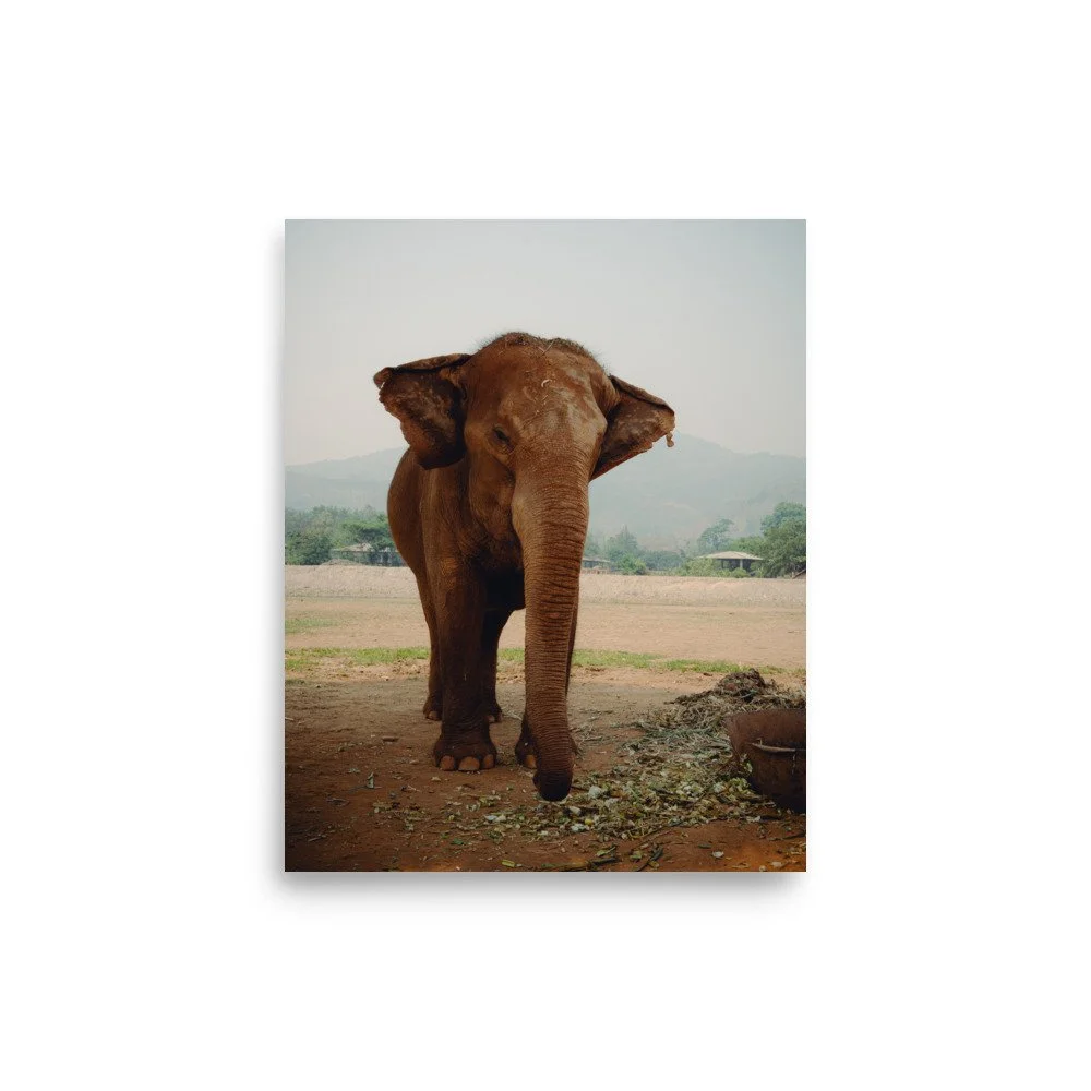 enhanced-matte-paper-poster-(in)-8x10-front-66986070ecf62.jpg