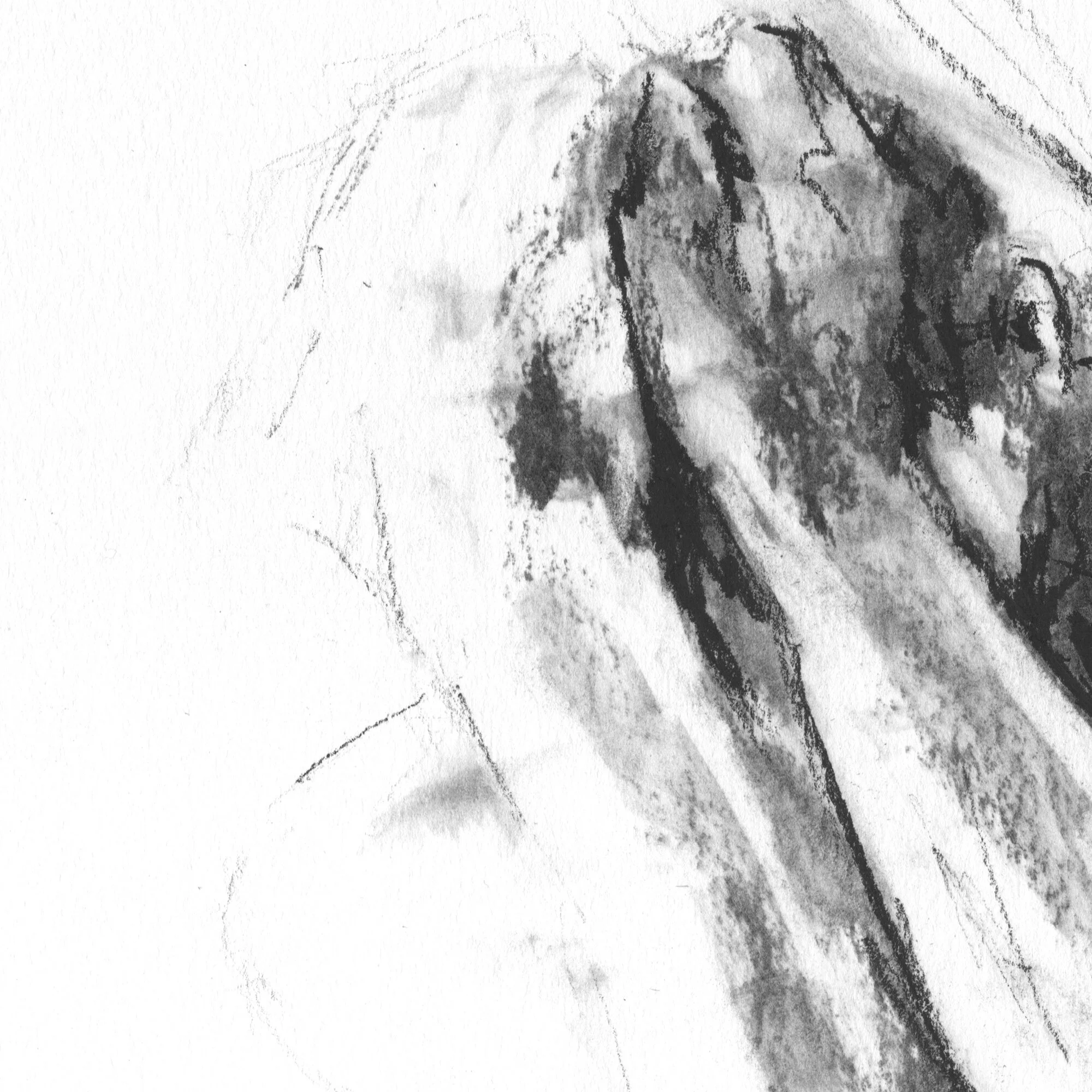 ben-detail.jpg