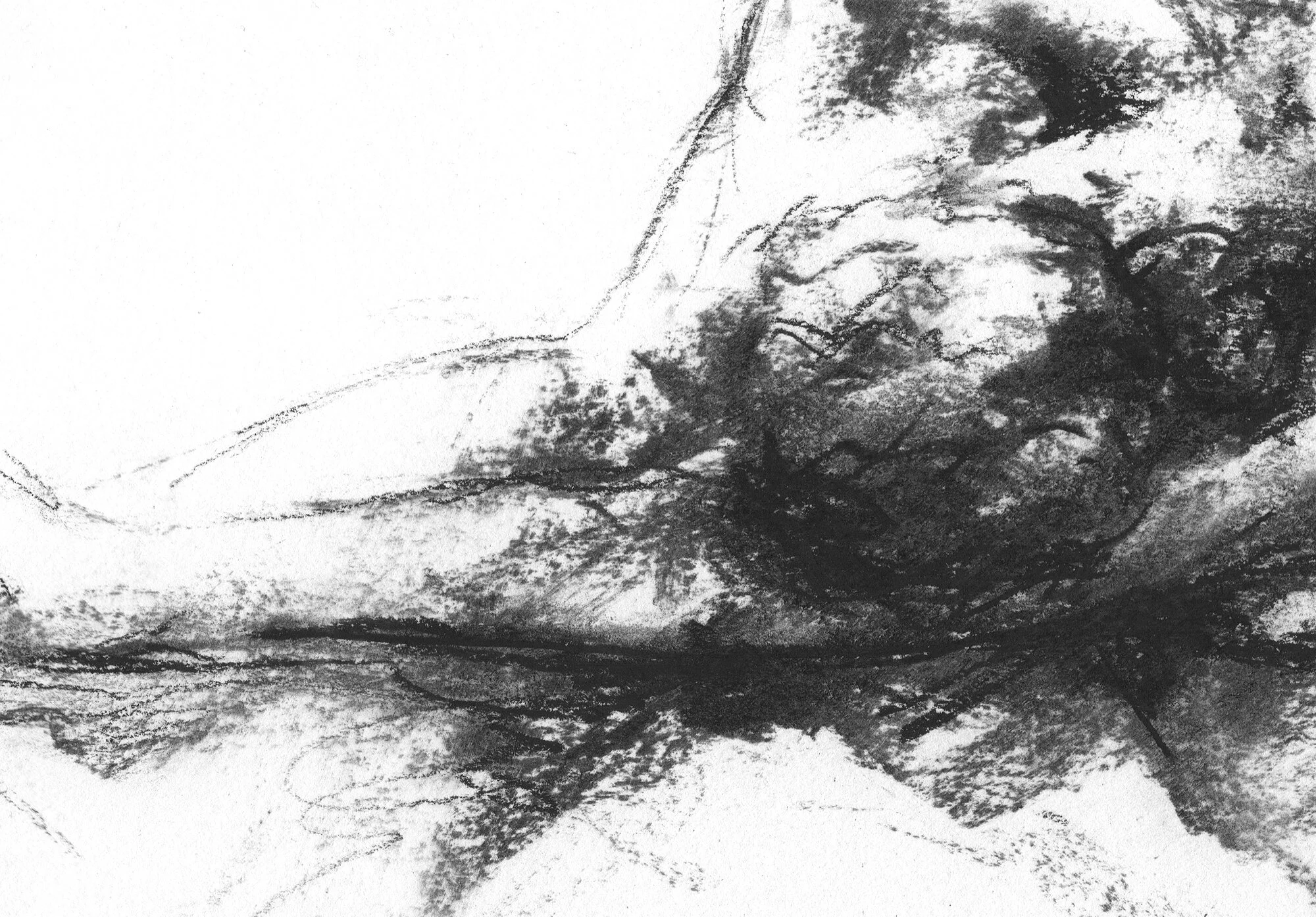 nude-female-v-study-detail.jpg
