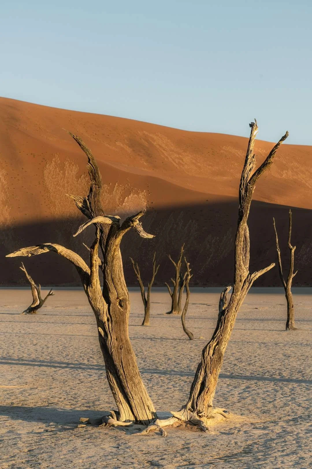 original_dimensions_Trevor_Cole_Namibia__17_.jpg