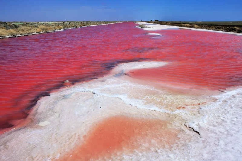1540850777_walvis_bay_110209_79.jpg
