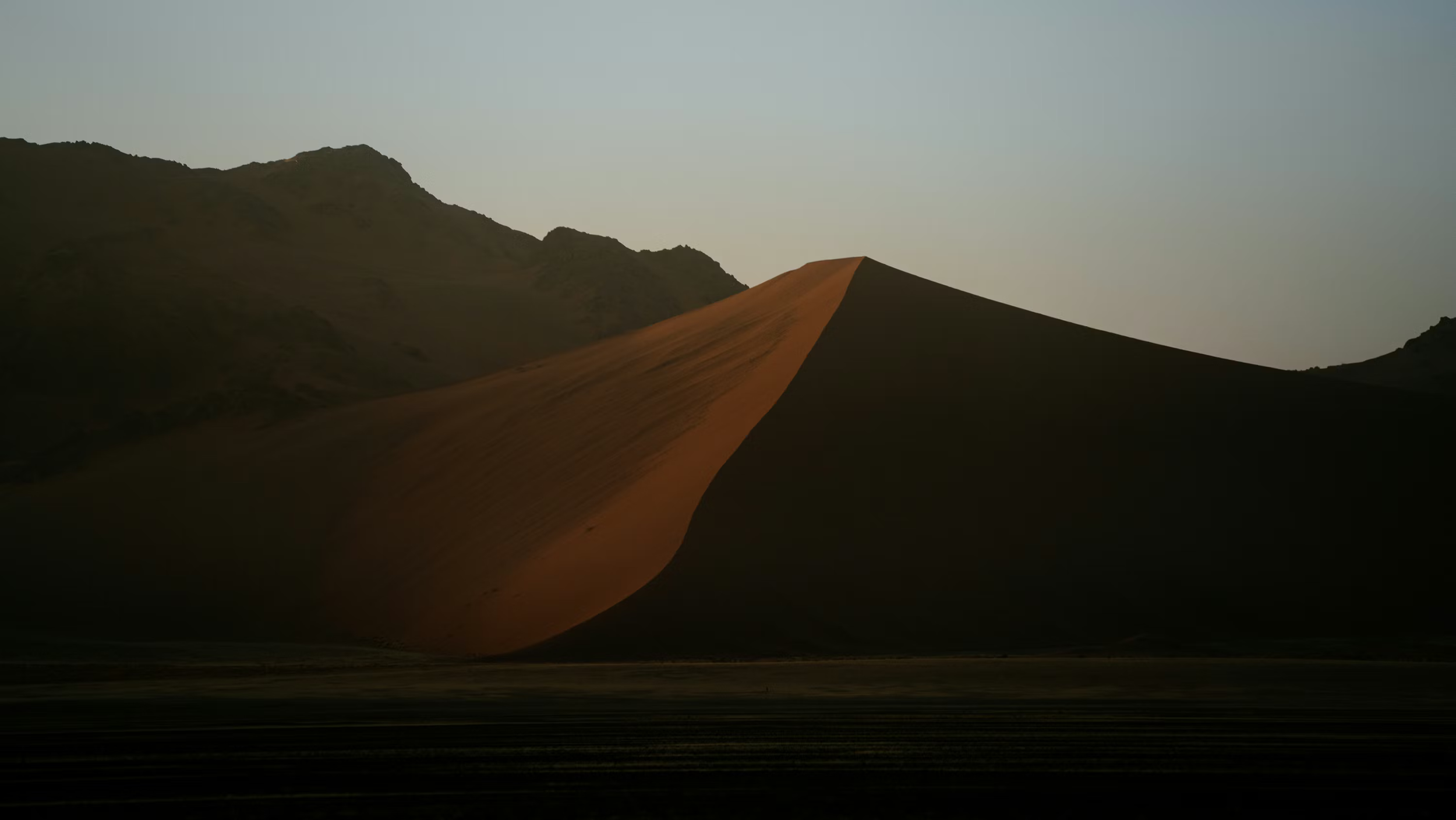 photo-1772289093080-831ca03c76e1.png