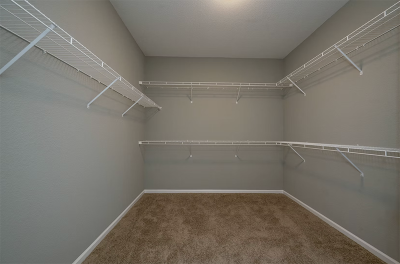 Carolina Gallery 21.png