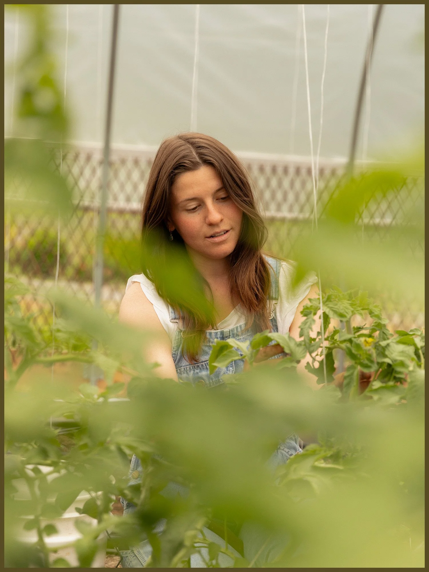 In Dialogue: Leila Giannetti