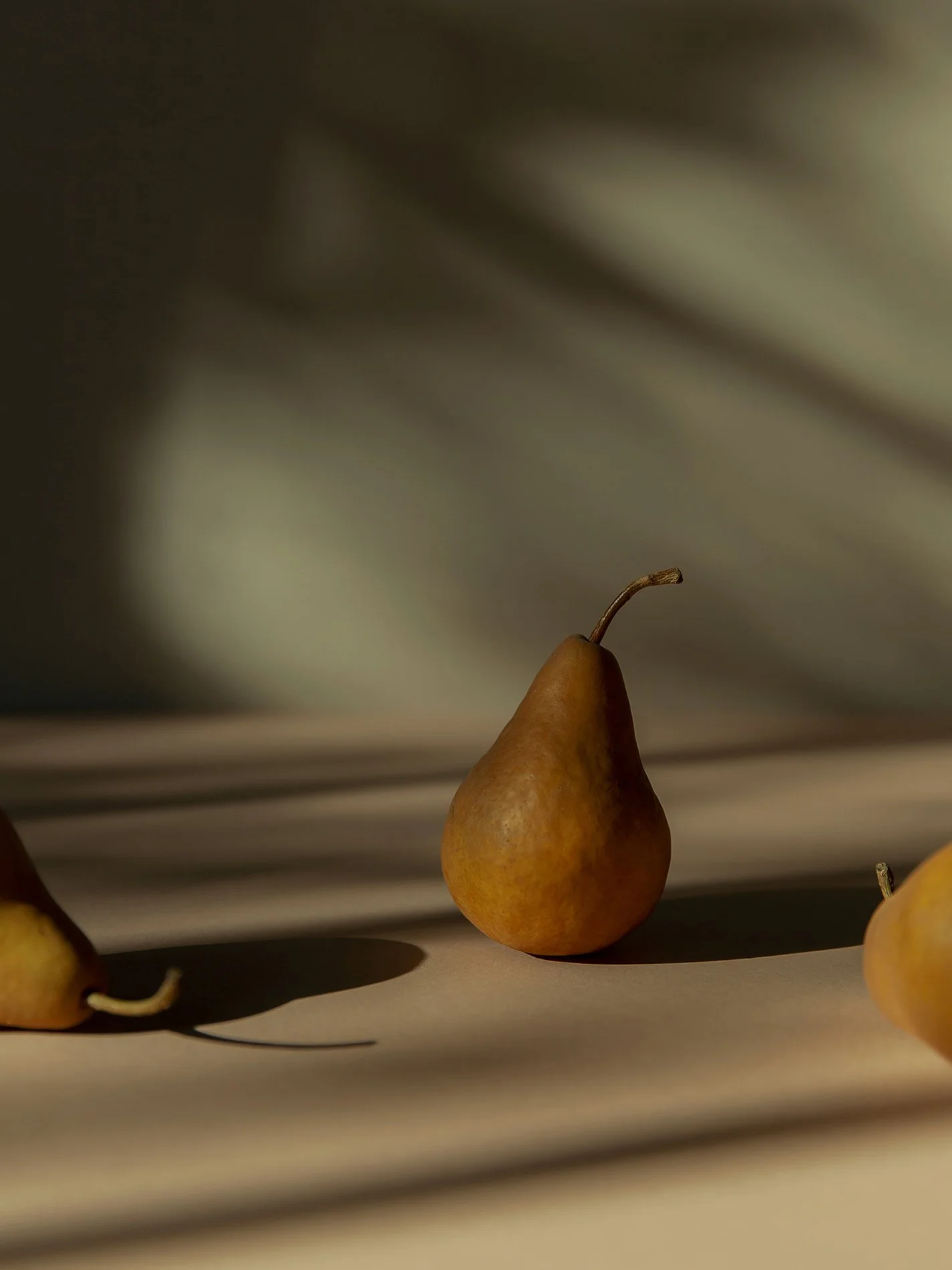 Pear Study 01