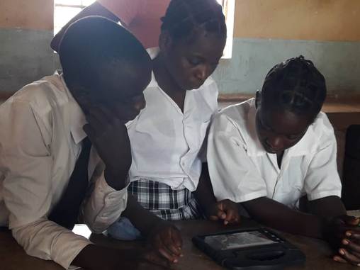Financial Literacy - A valuable tool for the inclusion of women into ...